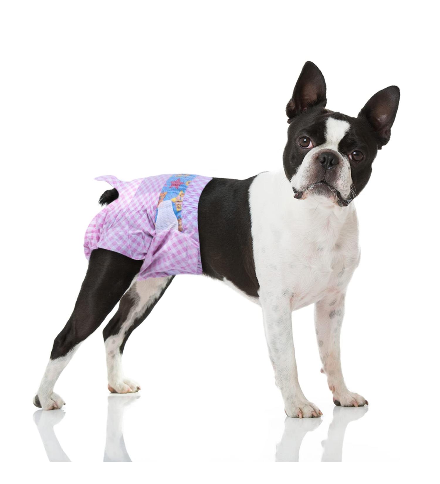 Flying Paws Disposable Dog Diapers - Adjustable & Suitable for Dogs & Cats | M Size (10 Pack) - Premium Quality for Stress-Free Pet Care - Buy Online on GoSupps.com