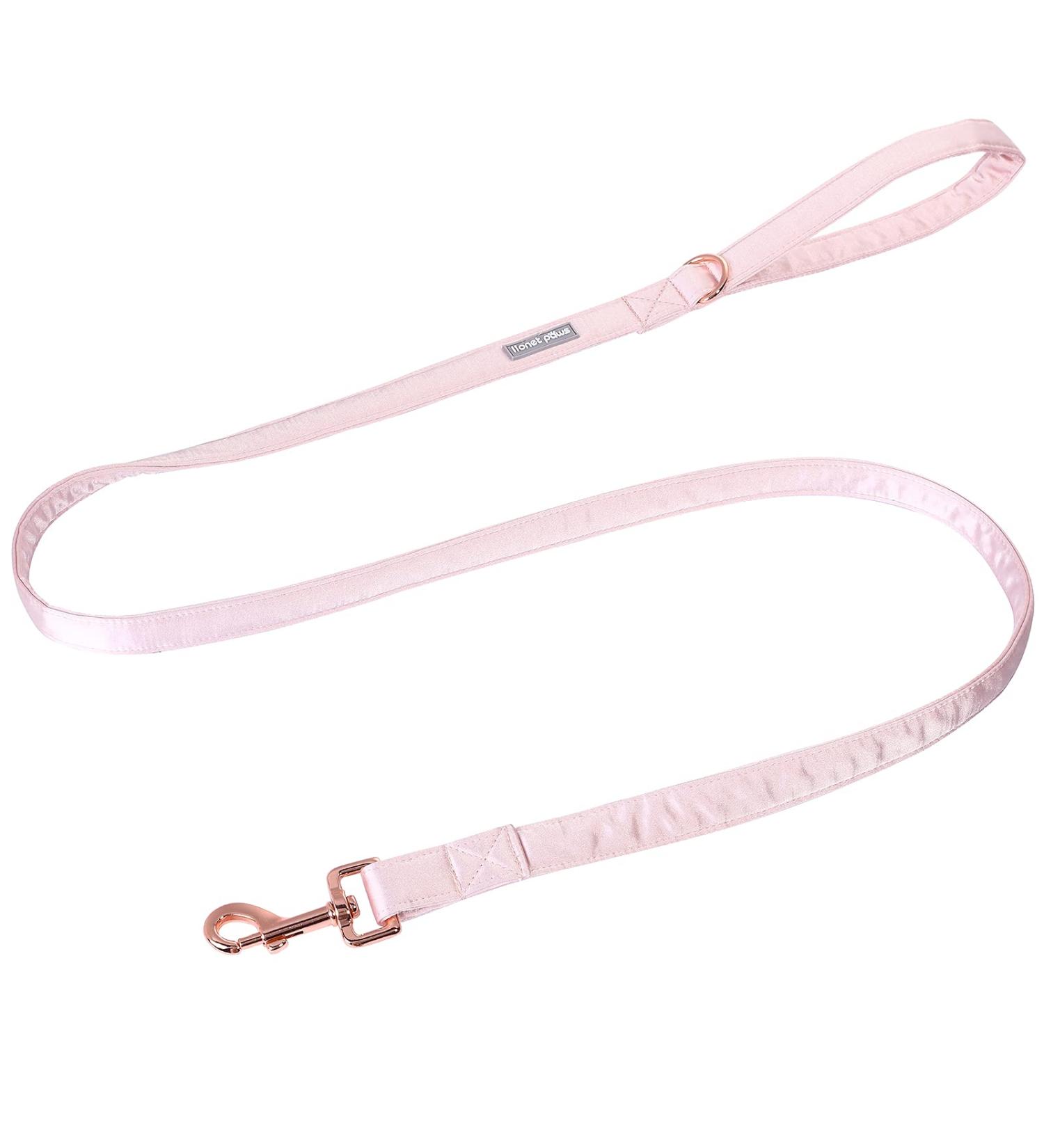 Lionet Paws Dog Leash - Silk Leash for All Dog Sizes | Matching Collars in Pink for Boys & Girls | Ideal XS Dog Leash (Pack of 1) - Buy Online on GoSupps.com