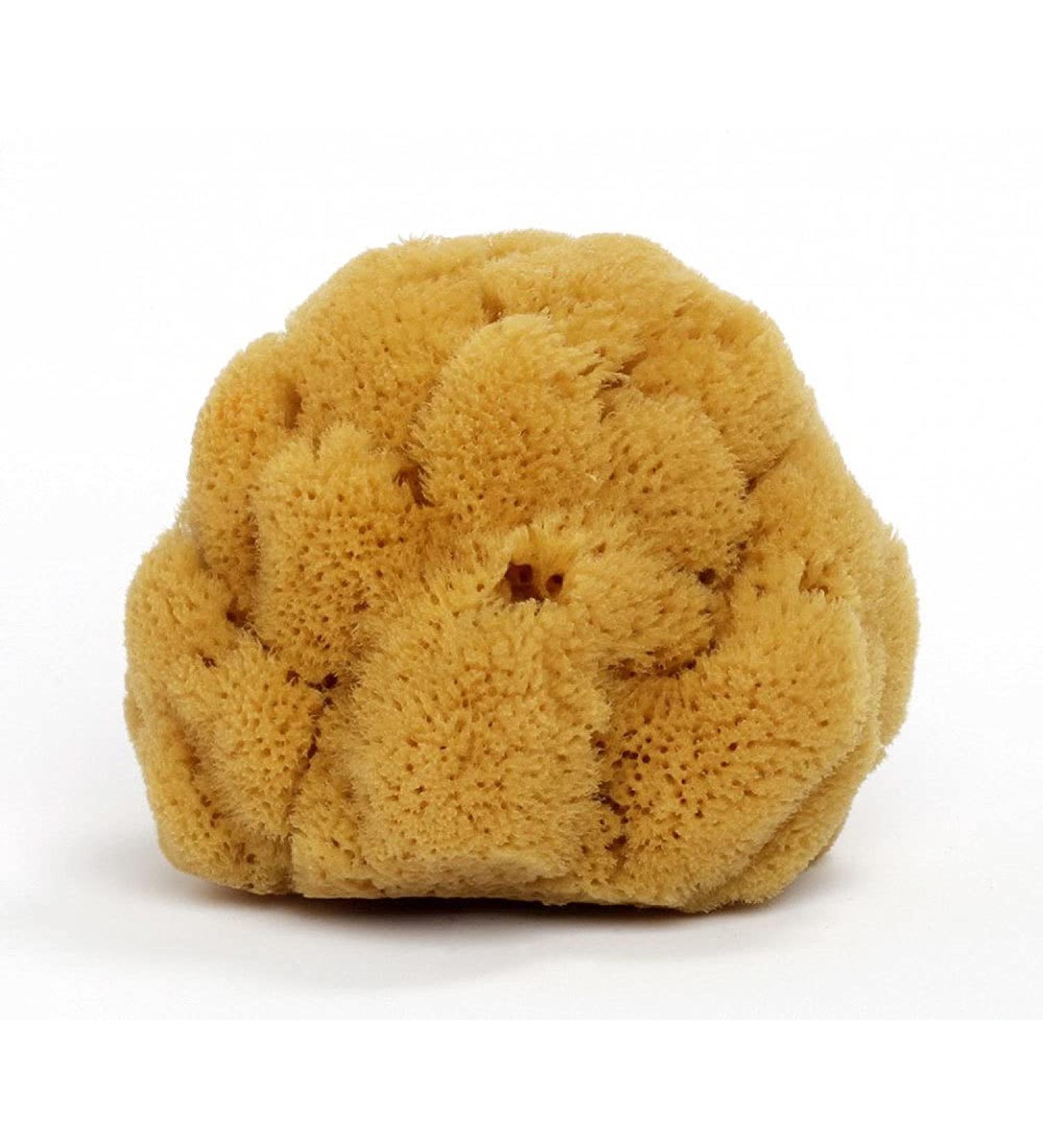 Natural sea sponge approx. 12cm - natural sponge bath sponge