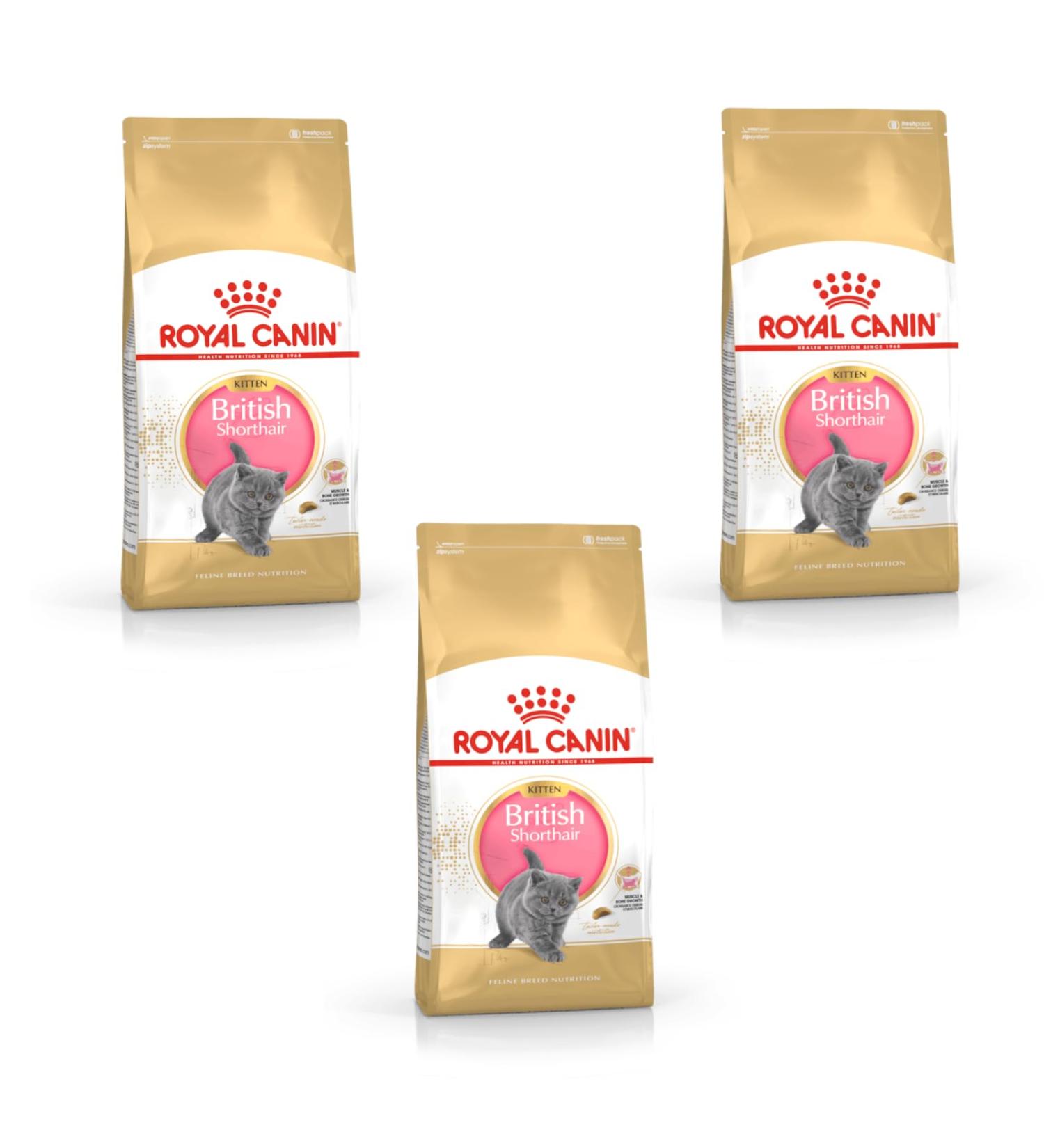 Royal Canin British Shorthair Kitten Complete Dry Cat Food 3 x 400g - Buy Online on GoSupps.com
