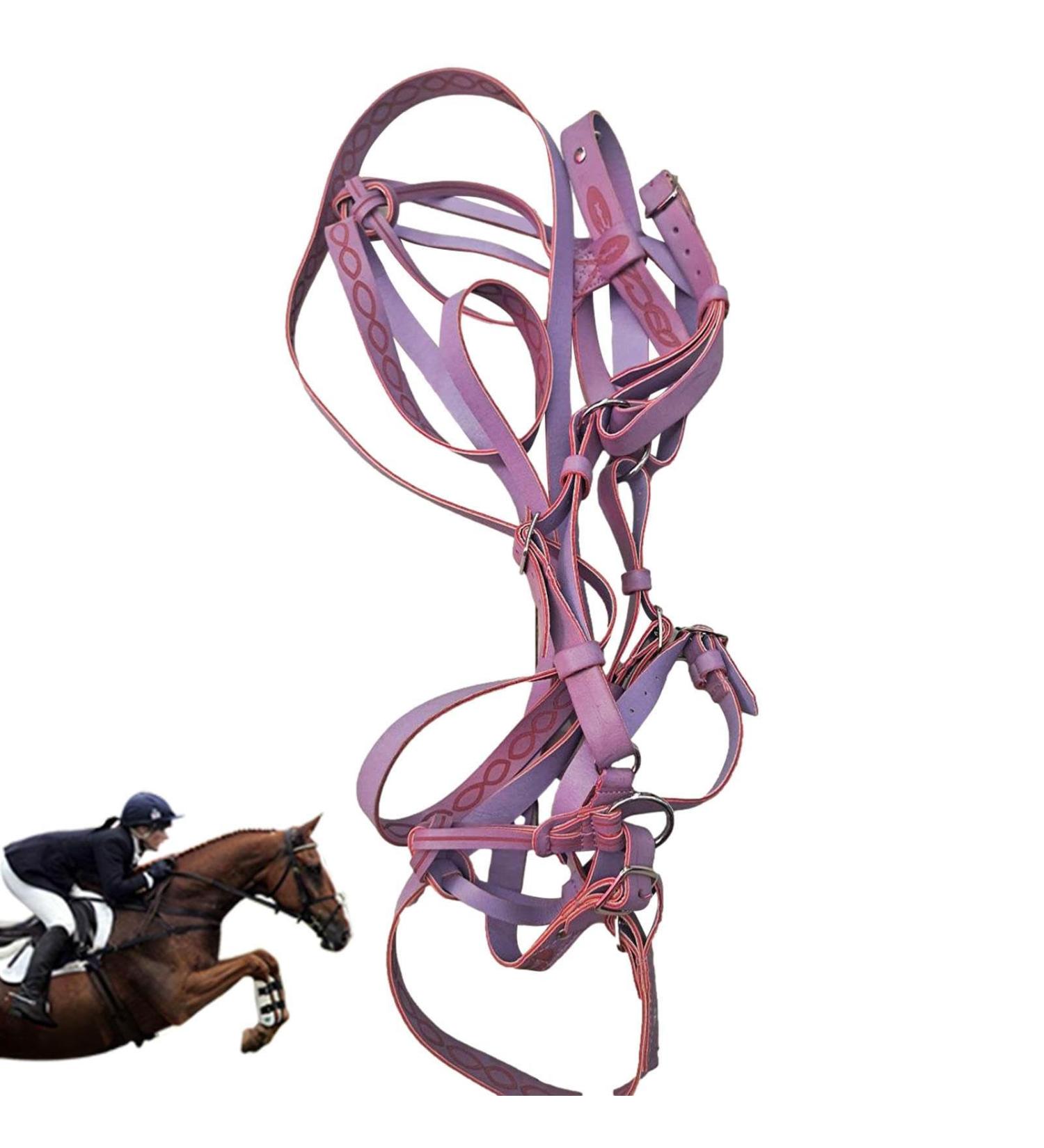 Horse Halter - Heavy Duty Tied Halter Adjustable Horse Safety Halter Colorful Padded Nylon Size Horse Care for Horse Grooming Training Dalian Purple - Buy Online on GoSupps.com