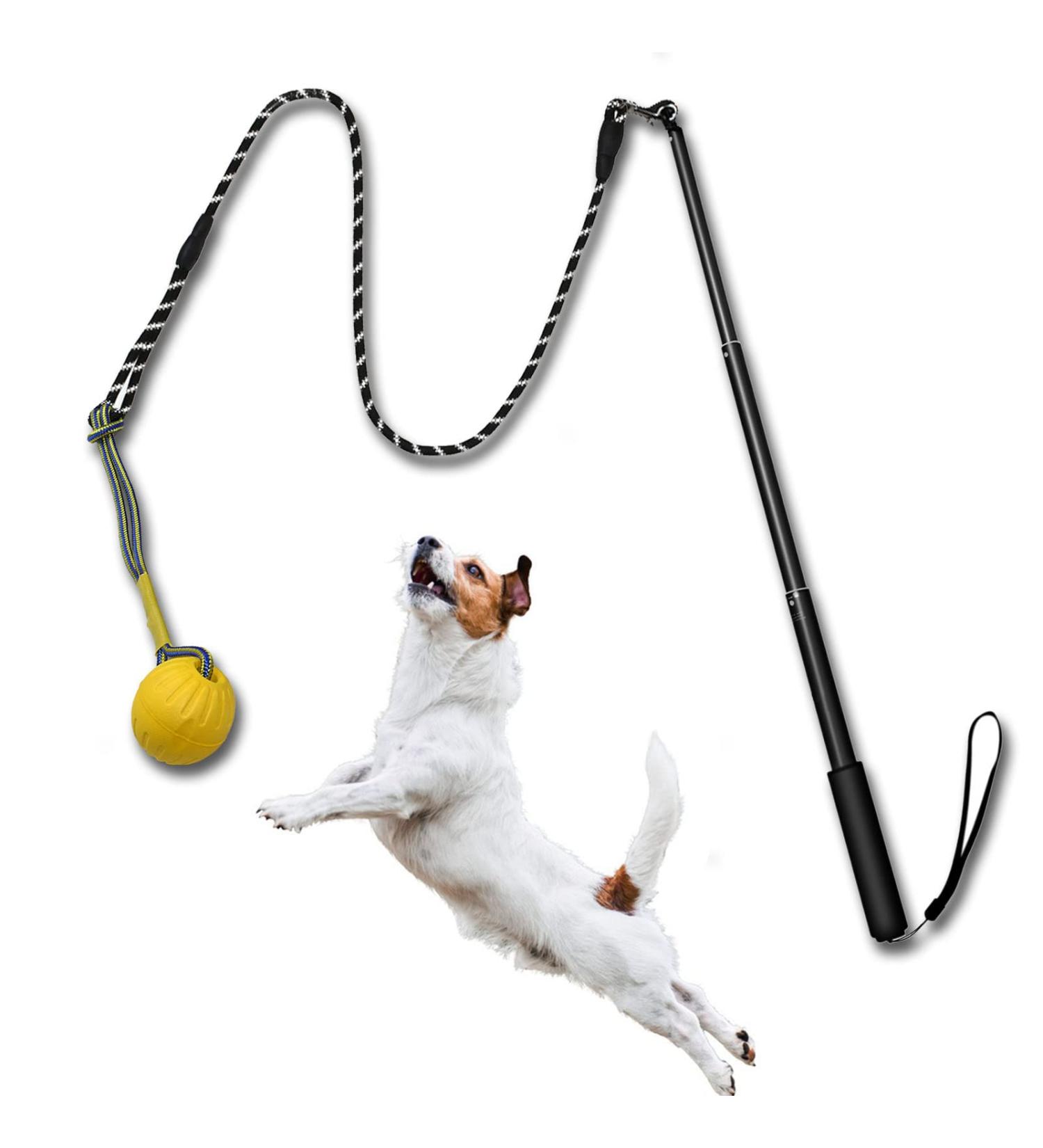 Tekcam Flirt Pole for Dogs | Interactive Tug Ball Toy for Training | Durable Outdoor Chewing Stick for Small to Large Breeds - Buy Online on GoSupps.com