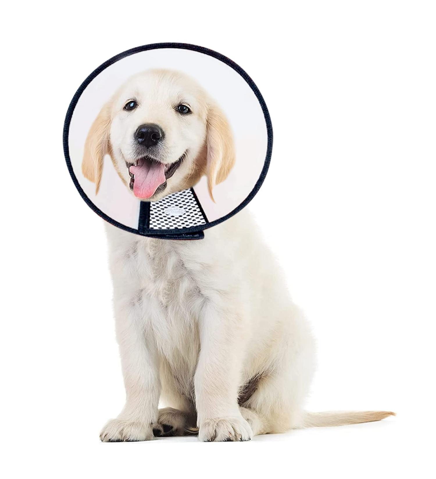 Adjustable Pet Cone Collar for Large Dogs | Lightweight Elizabethan Protective Collar (43.5-50CM) - Shop Now! - Buy Online on GoSupps.com