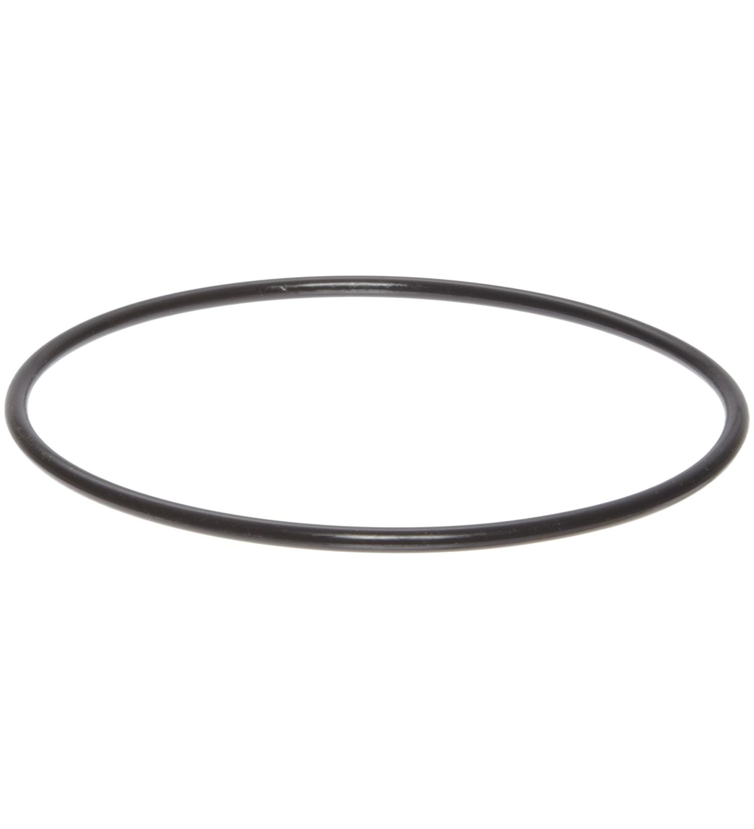 Pentek 151122 OR-100 Buna-N O-ring for Big Blue Housings