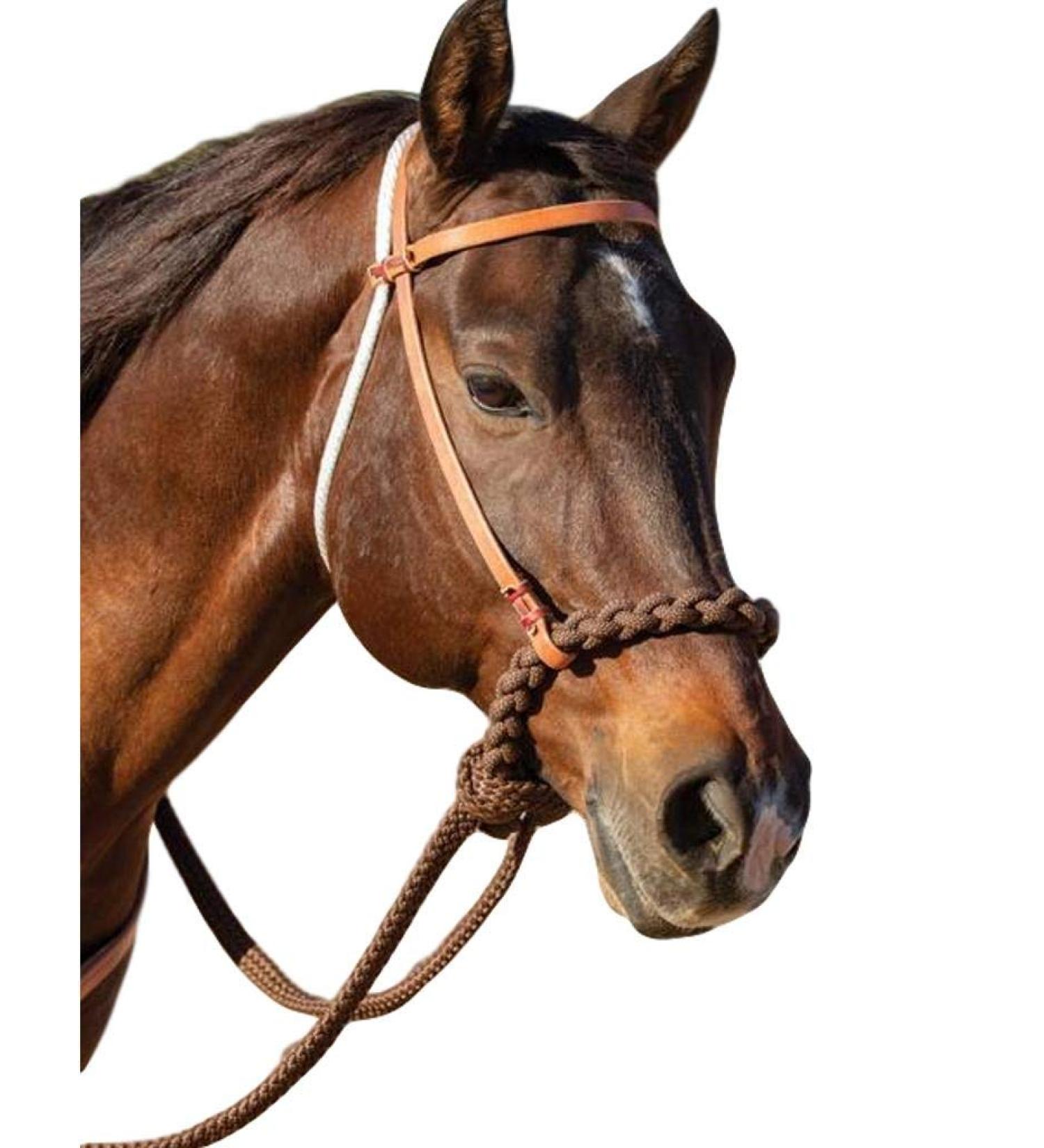 Professional's Choice 8168hl loping hackamore HORSE