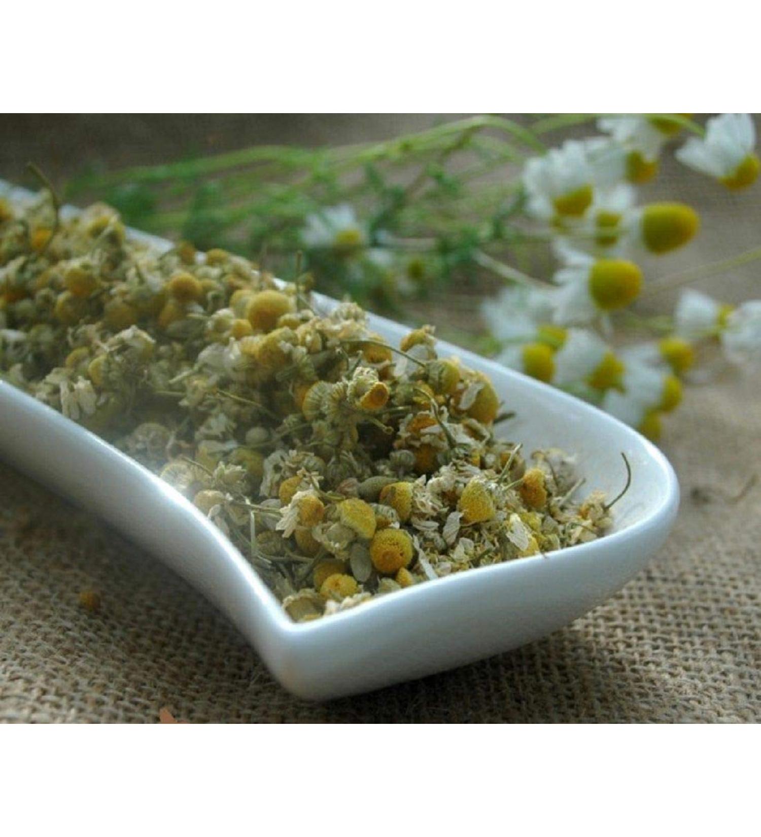 Krauterino24 Krauterino24 - First choice chamomile flowers (1 kg)