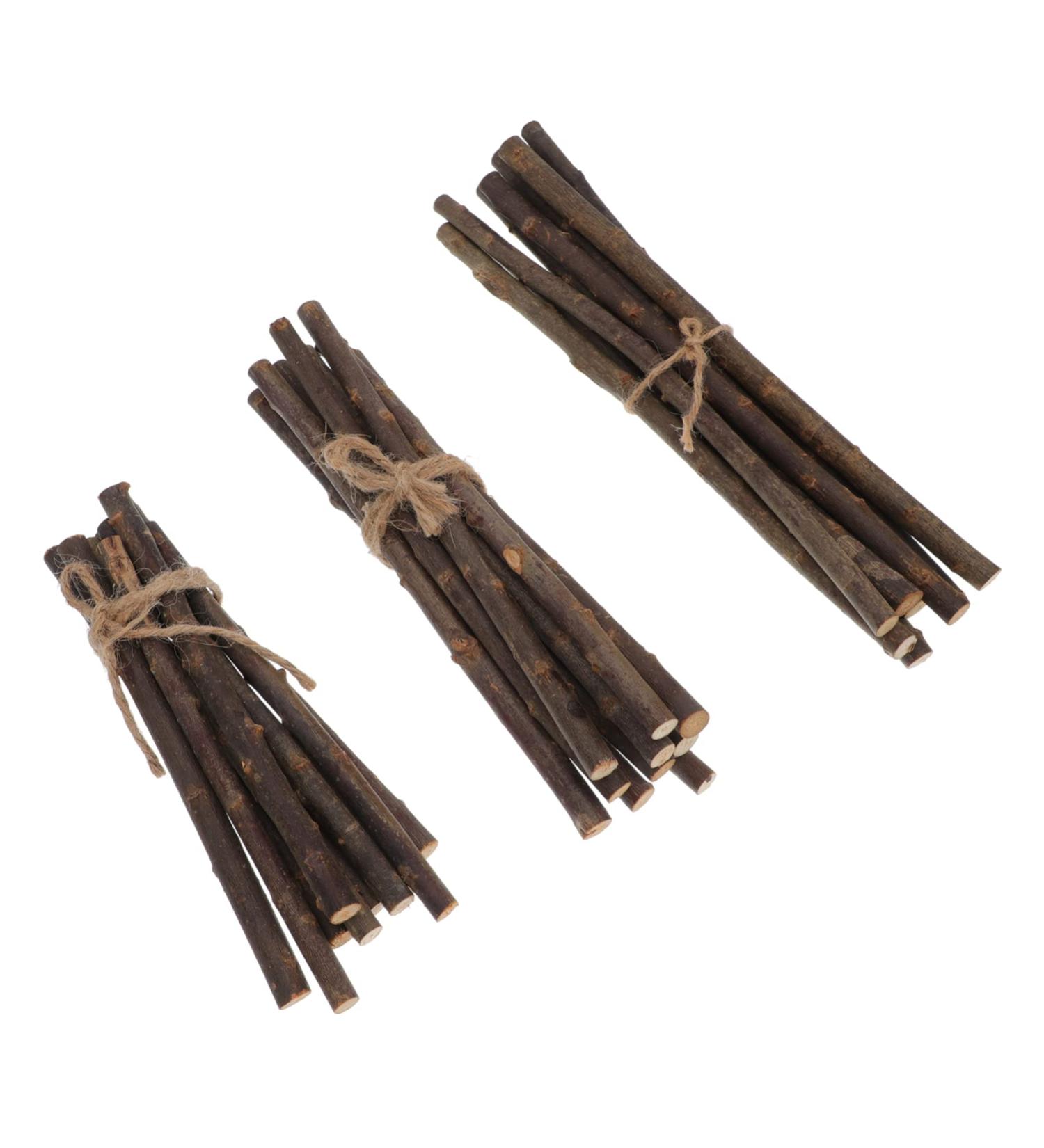 Lurrose 30pcs Stick Decor Diy Branch Accessory Natural Birch Twigs Wood Craft Diy Twig Earth Tones Lip Gloss - Buy Online on GoSupps.com