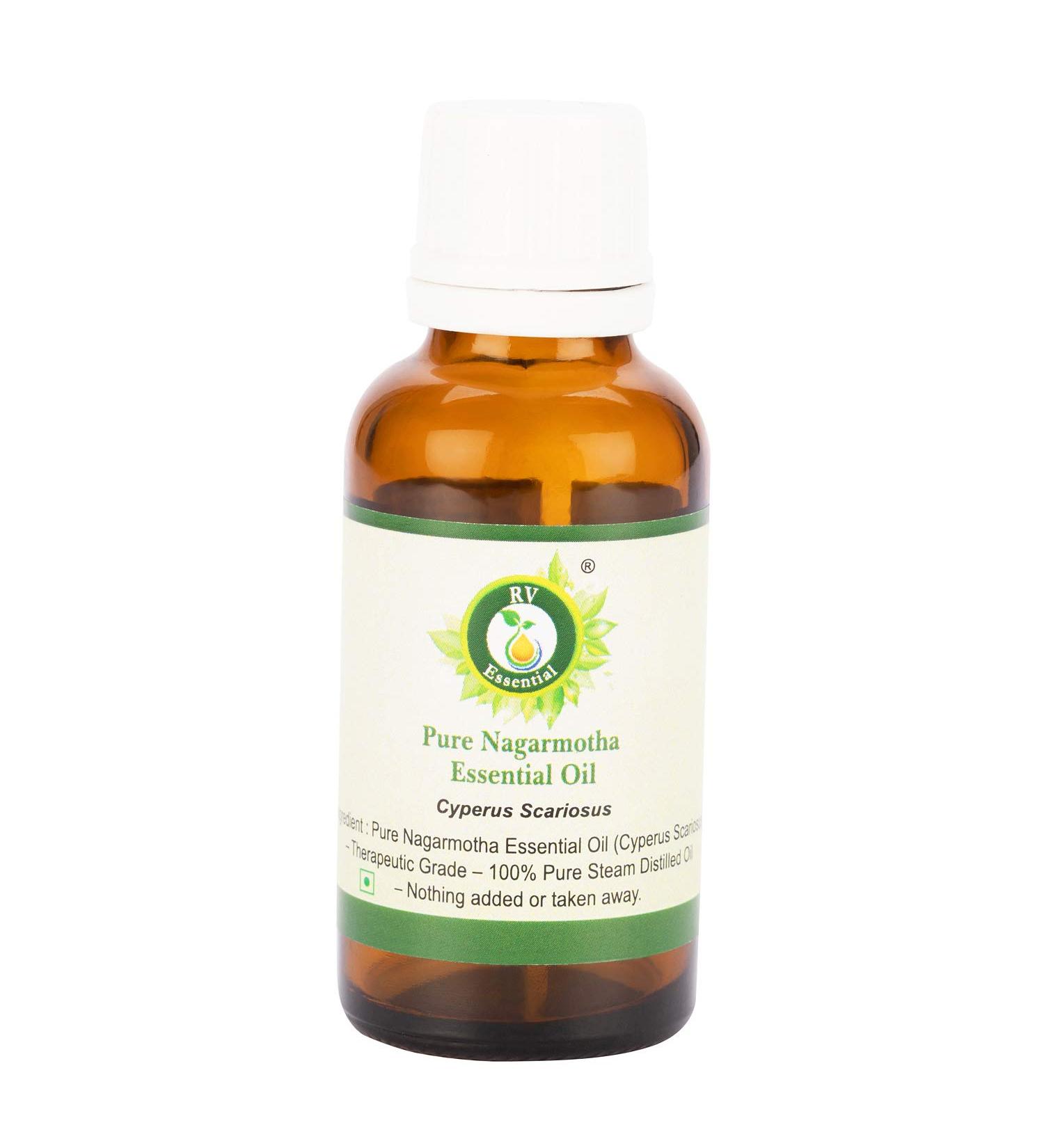 Nagarmotha Essential Oil | Cyperus Scariosus | Pure Nagarmotha Oil | Pure Nagarmotha Essential Oil | 100% Pure Natural | Steam Distilled | Therapeutic Grade | 5ml | 0.169oz by R V Essential Nagarmotha 0.17 Fl Oz (Pack of 1)