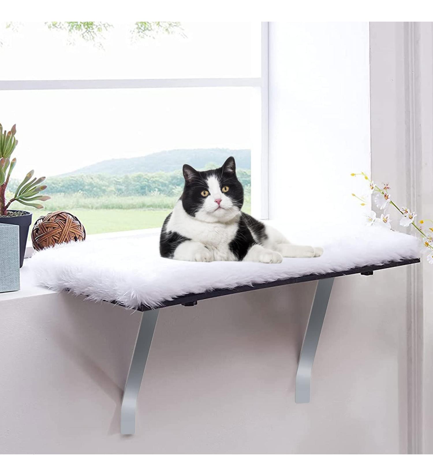 Kphico Cat Window Perch Hammock Seat for Large Indoor Cats - Space Saving Bed for All-Around Sunbath | A-White-Cat Window Shelf - Buy Online on GoSupps.com