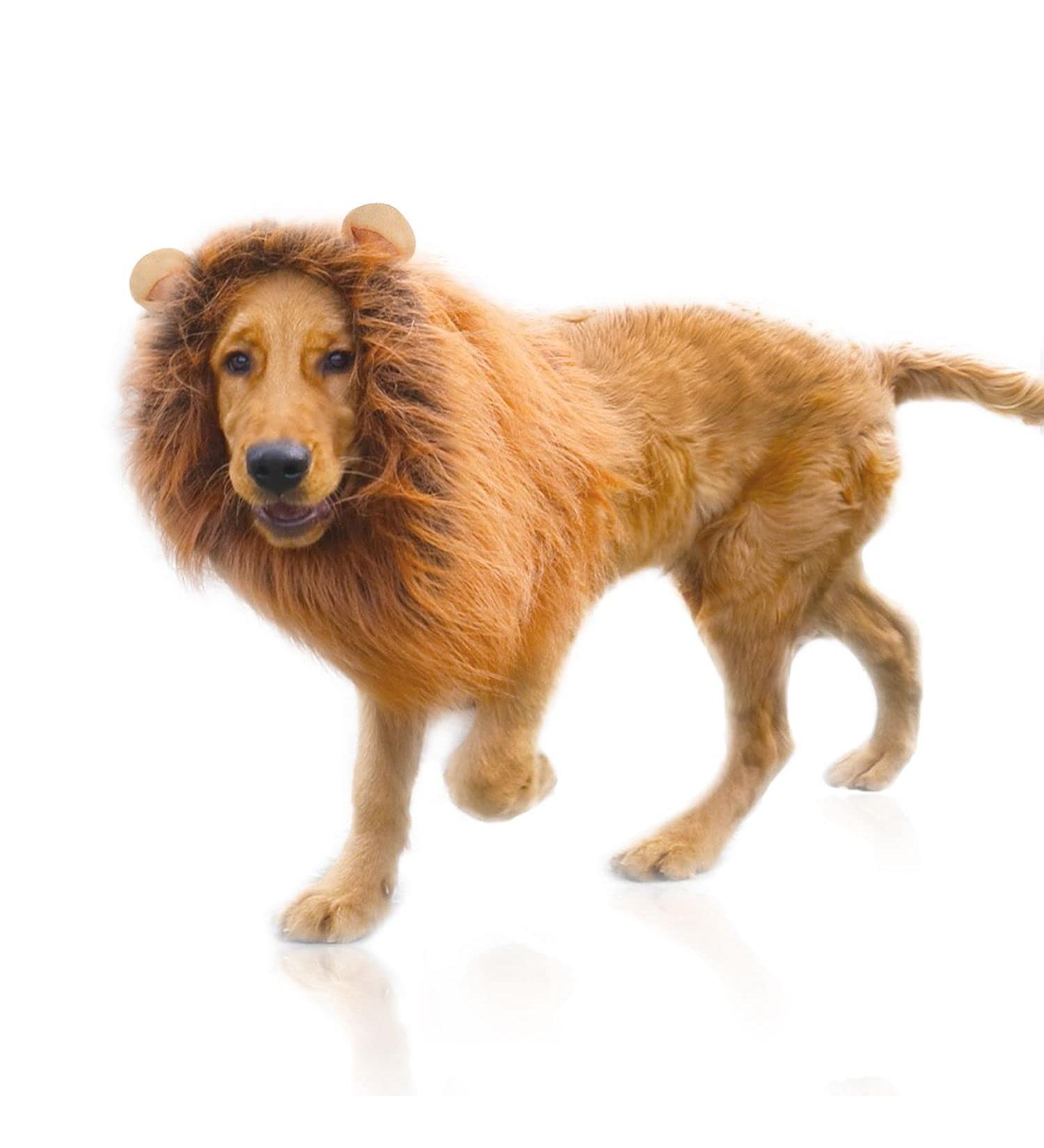 Lion Mane Wig for Dog Costume with Ears Pet Adjustable Cosplay Holiday Photo Shoots Party Fancy Lion Hat Party Activity Light Brown - Buy Online on GoSupps.com