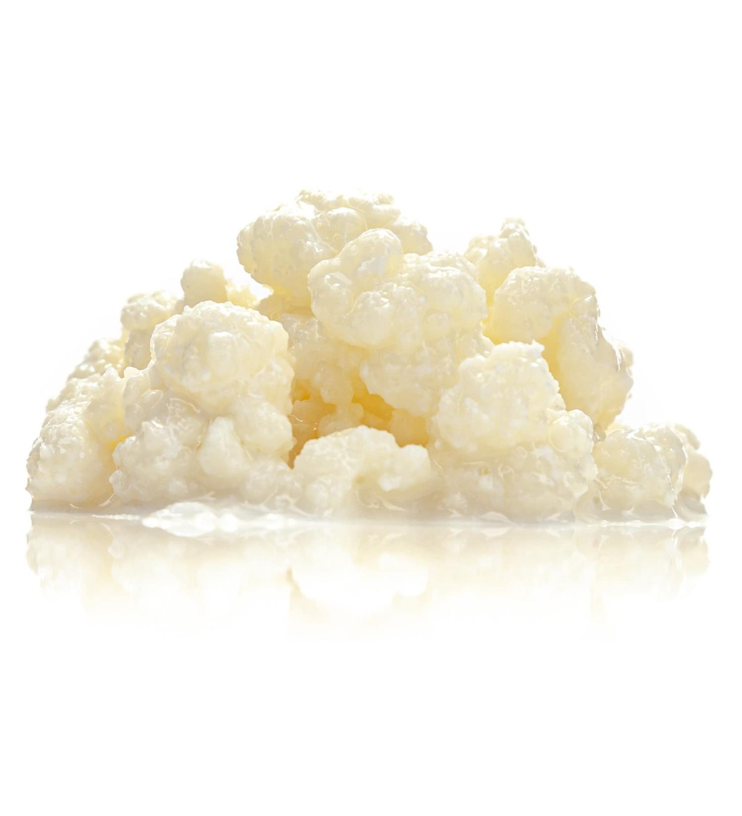 Organic Milk Kefir - 8g Pack | Probiotic Superfood for Gut Health | International Shipping - Buy Online on GoSupps.com