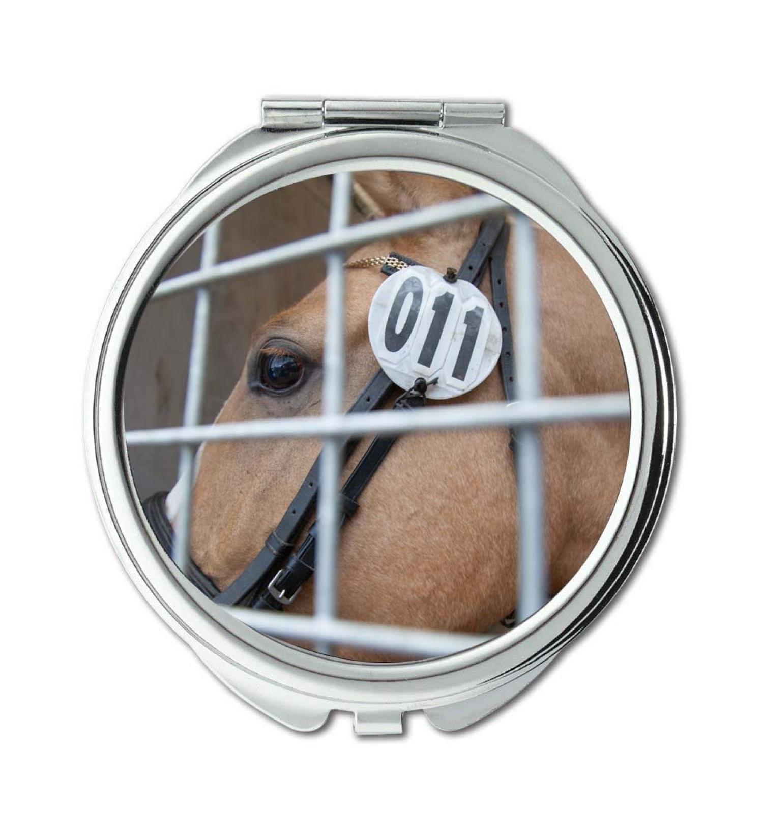 YENDOSTEEN Mirror Compact Mirror animal blur cage pocket mirror portable mirror - Buy Online on GoSupps.com