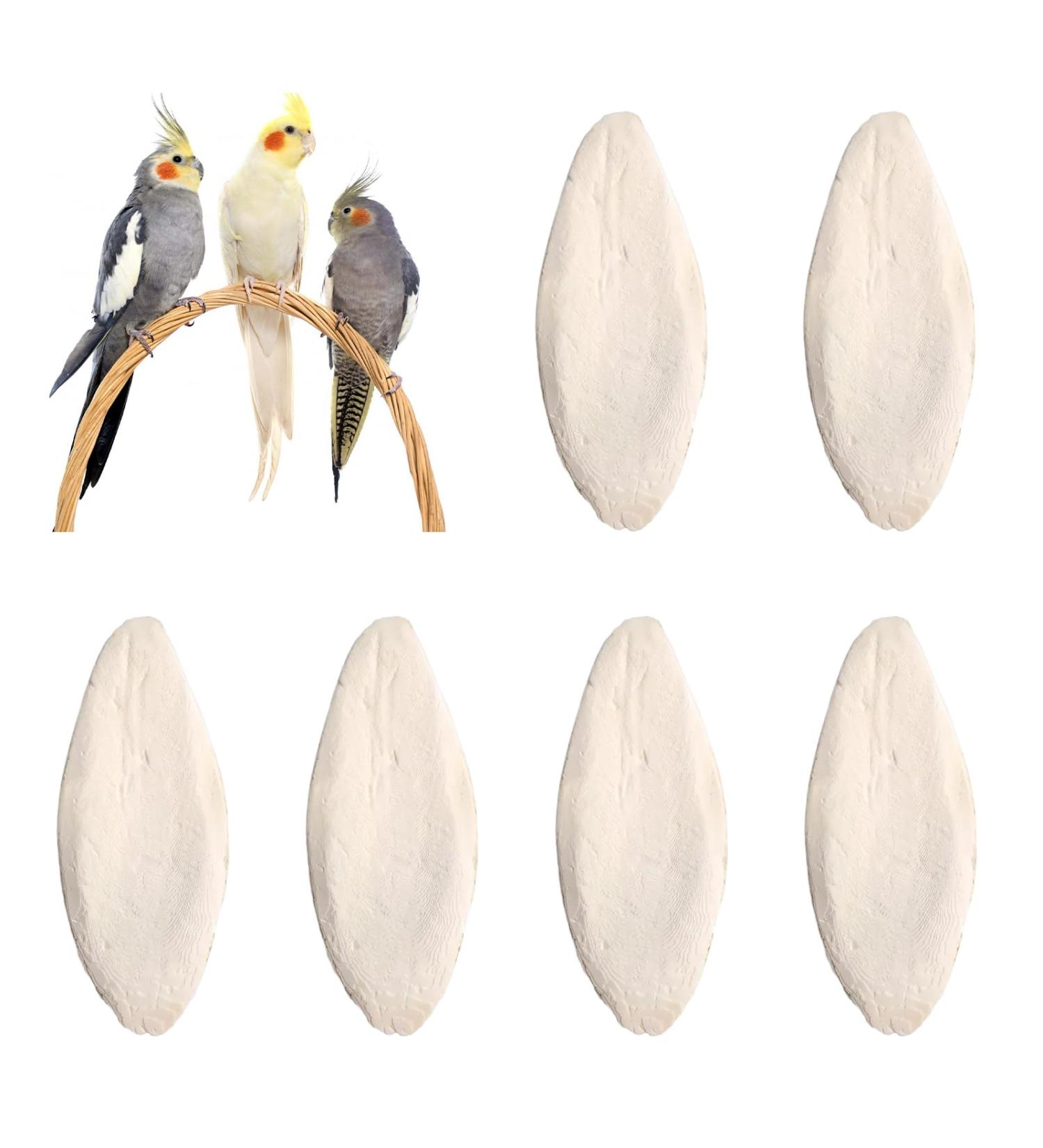 Buy Sepia Bowls & Shells for Turtles | 6-Piece Miniature Sepia Shells & Squid Bones for Birds | Premium Quality Decorative Bird Tools - Buy Online on GoSupps.com