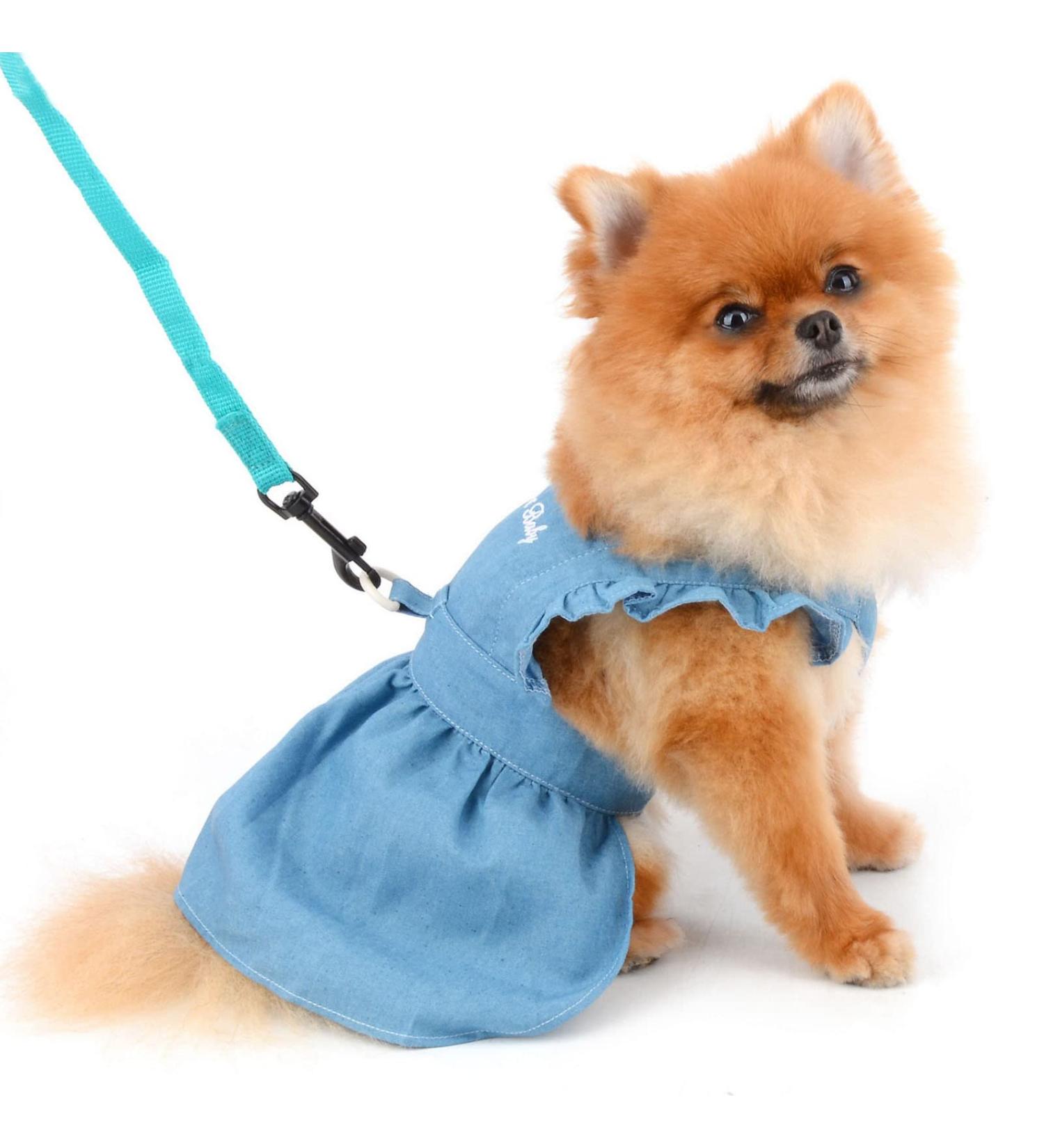 Paidful Denim Tutu Dress for Small Dogs & Cats - Light Blue Pleated L tzchen for Puppies Chihuahua & Yorkie - Spring/Summer Fashion - Buy Online on GoSupps.com