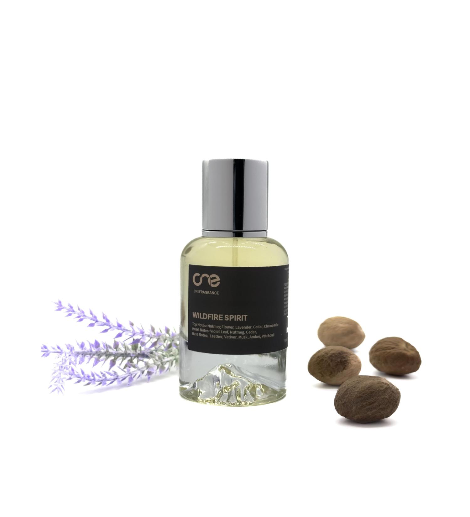 Wildfire Spirit Eau de Parfum Compatible with D. FAHRENHEIT Men Perfume Spray 50ml