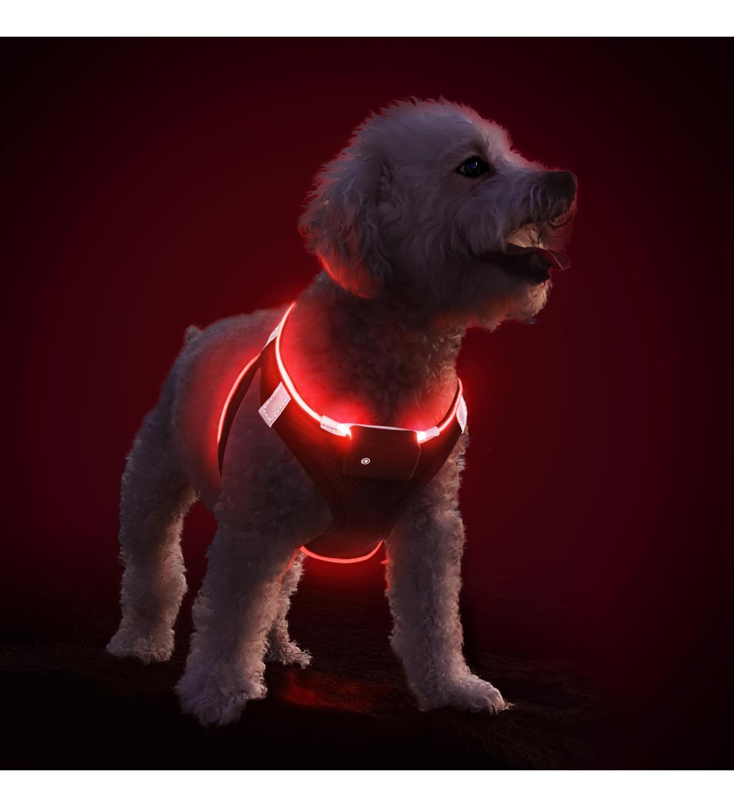 Buy PCEOTLLAR LED Dog Harness - Reflective Lightweight & Breathable for Small to Medium Dogs | USB Rechargeable & Flashing Light | Perfect for Night Walks - Buy Online on GoSupps.com
