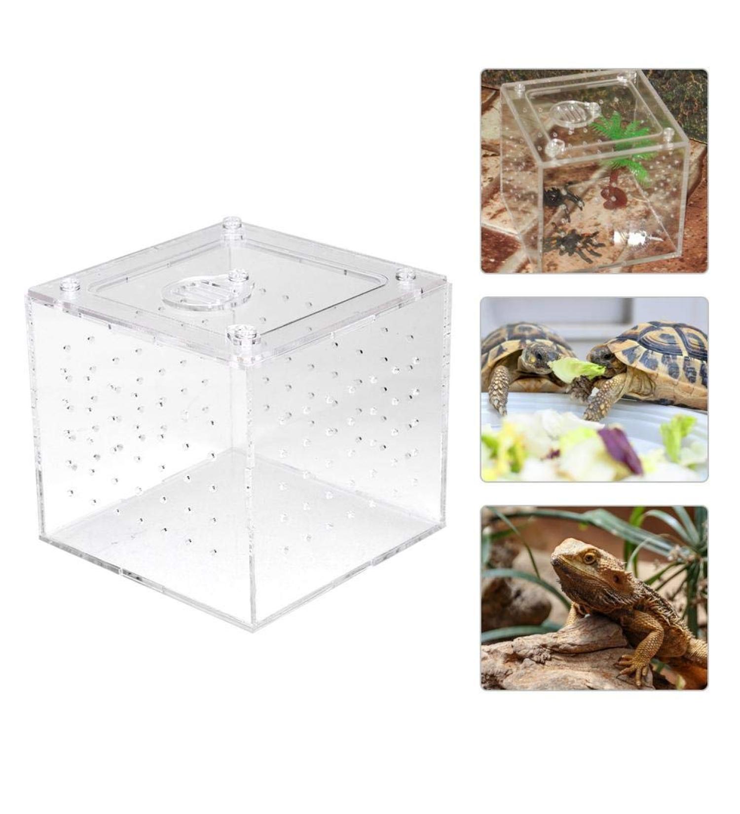 Reptile Breeding Box Reptile Terrarium Feeder Snakes Spider Lizard Feeding Acrylic Box Case Insects House for Lizard Chameleon Spider Frog Cricket Turtle Crab - Buy Online on GoSupps.com