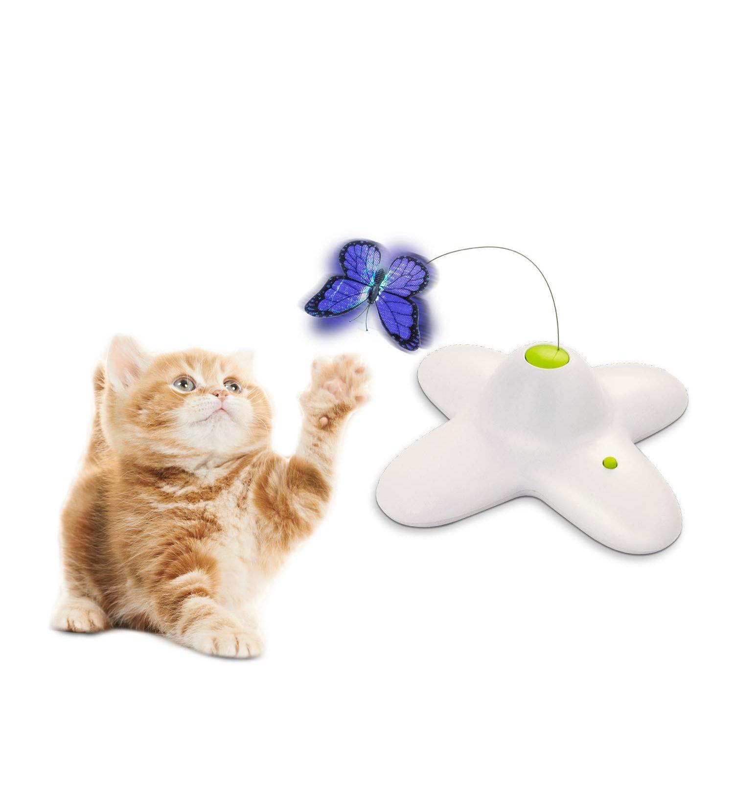 All for Paws Interactive Cat Toy - Flutter Bug Cat Butterfly Toy for Indoor Cats - Buy Online on GoSupps.com
