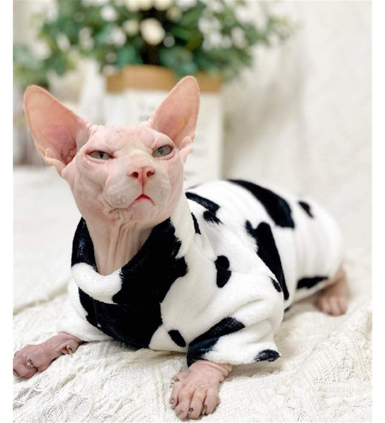 TENGTUD Hairless Cat Clothe for Sphynx Cat Plus Cashmere Black and White Winter Pet Clothes-L - Buy Online on GoSupps.com