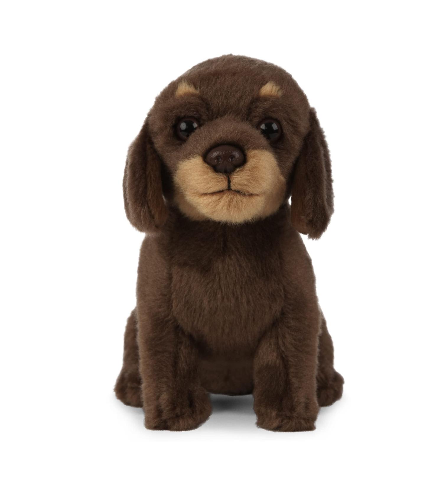 Living Nature Plush Sausage Dog Dachshund Puppy Brown 16cm - Adorable Soft Toy - Buy Online on GoSupps.com