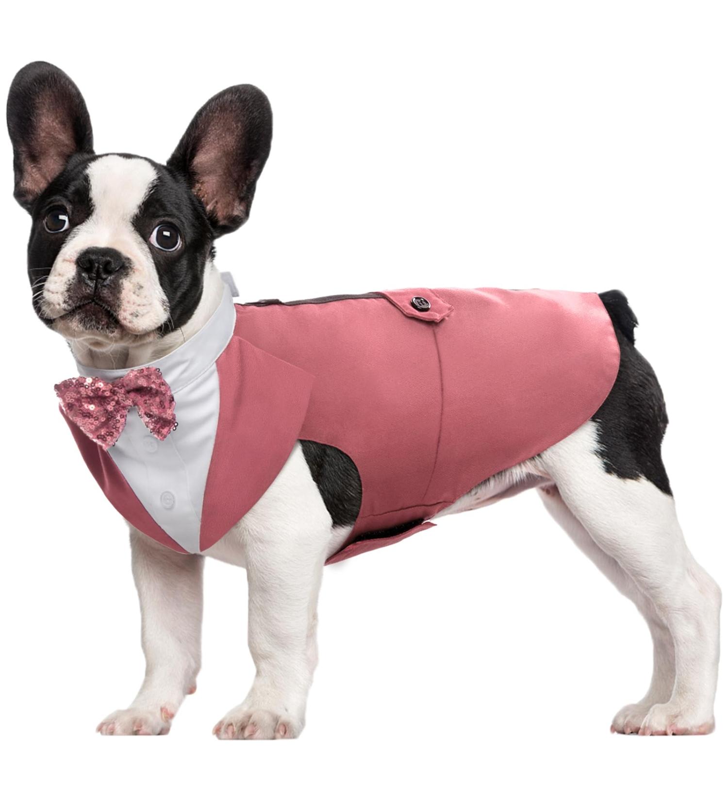 Kuoser Dog Smoking Suit & Bandana Set | Pet Formal Clothing for Weddings Halloween & Birthdays | S-XXL Red Bean Paste - Buy Online on GoSupps.com