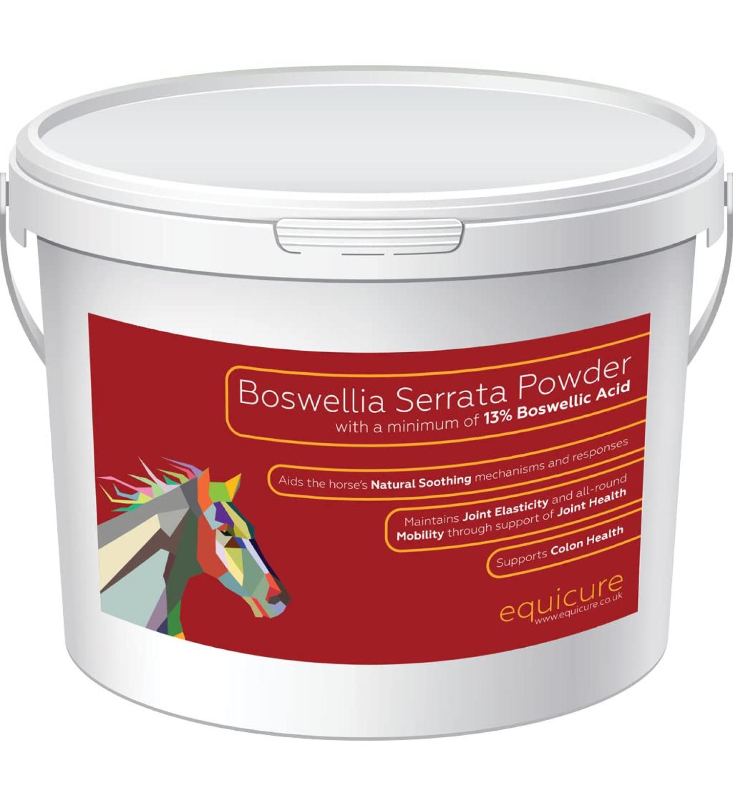 Equicure Boswellia Serrata Powder For Horse/Pony (2.5KG) 2.5 kg (Pack of 1) - Buy Online on GoSupps.com
