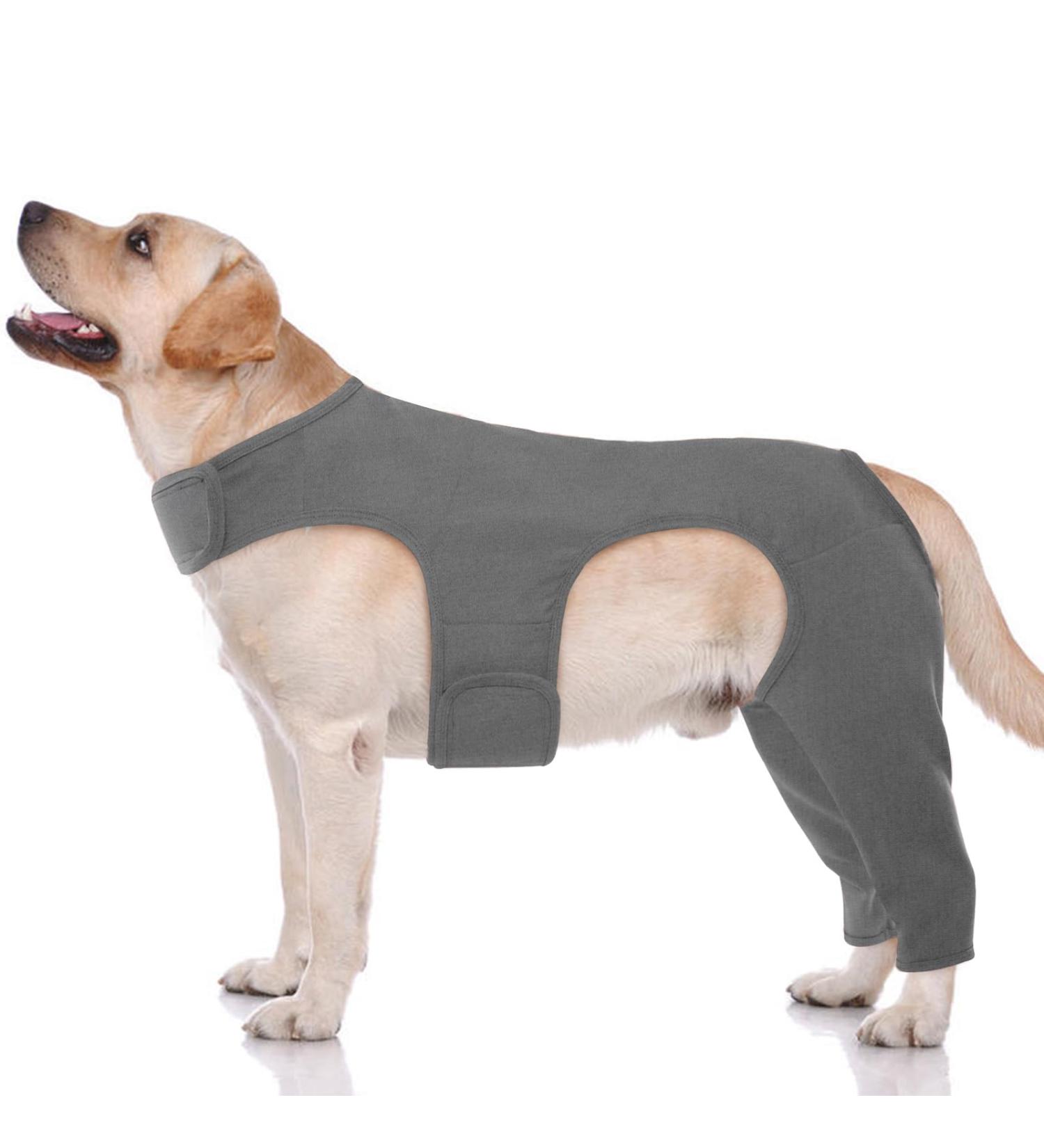 Buy Hjyokuso Dogebody After Op Suit - Wound Protection Bodysuit for Dogs | XL Gray | Anti-Licking E-Collar Alternative - Buy Online on GoSupps.com