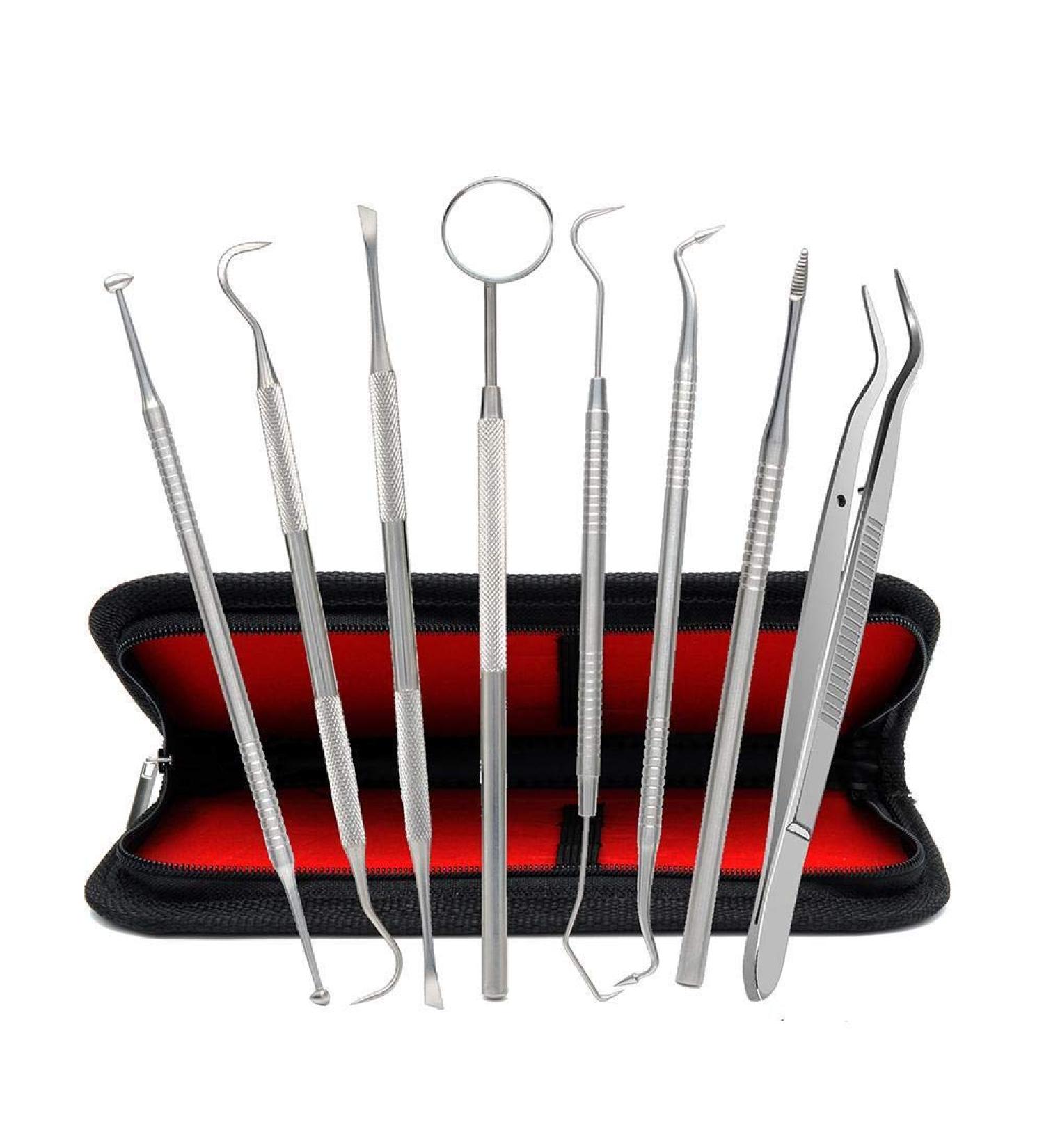 8-Piece Dental Care Set Tartar Remover Tooth Cleaning Instruments Stainless Steel Dental Tools & Mouth Mirror for Plaque Removal - Buy Online on GoSupps.com