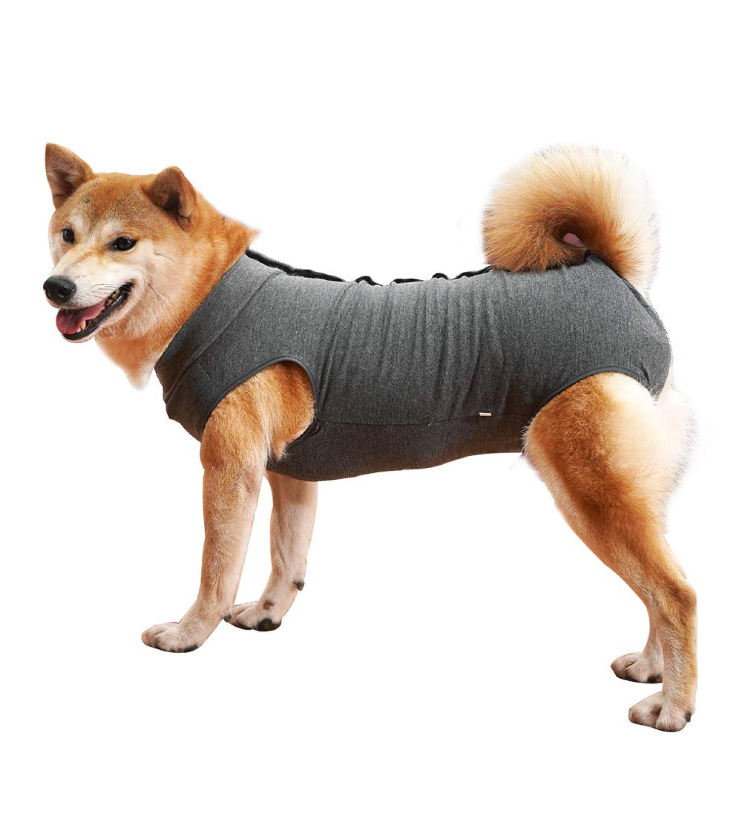 Buy Doton Hospital Suit for Dogs & Cats - Medical Wound Protection Clothing (L Gray) - Perfect After Surgery Replacement for Collars & Cones - Buy Online on GoSupps.com