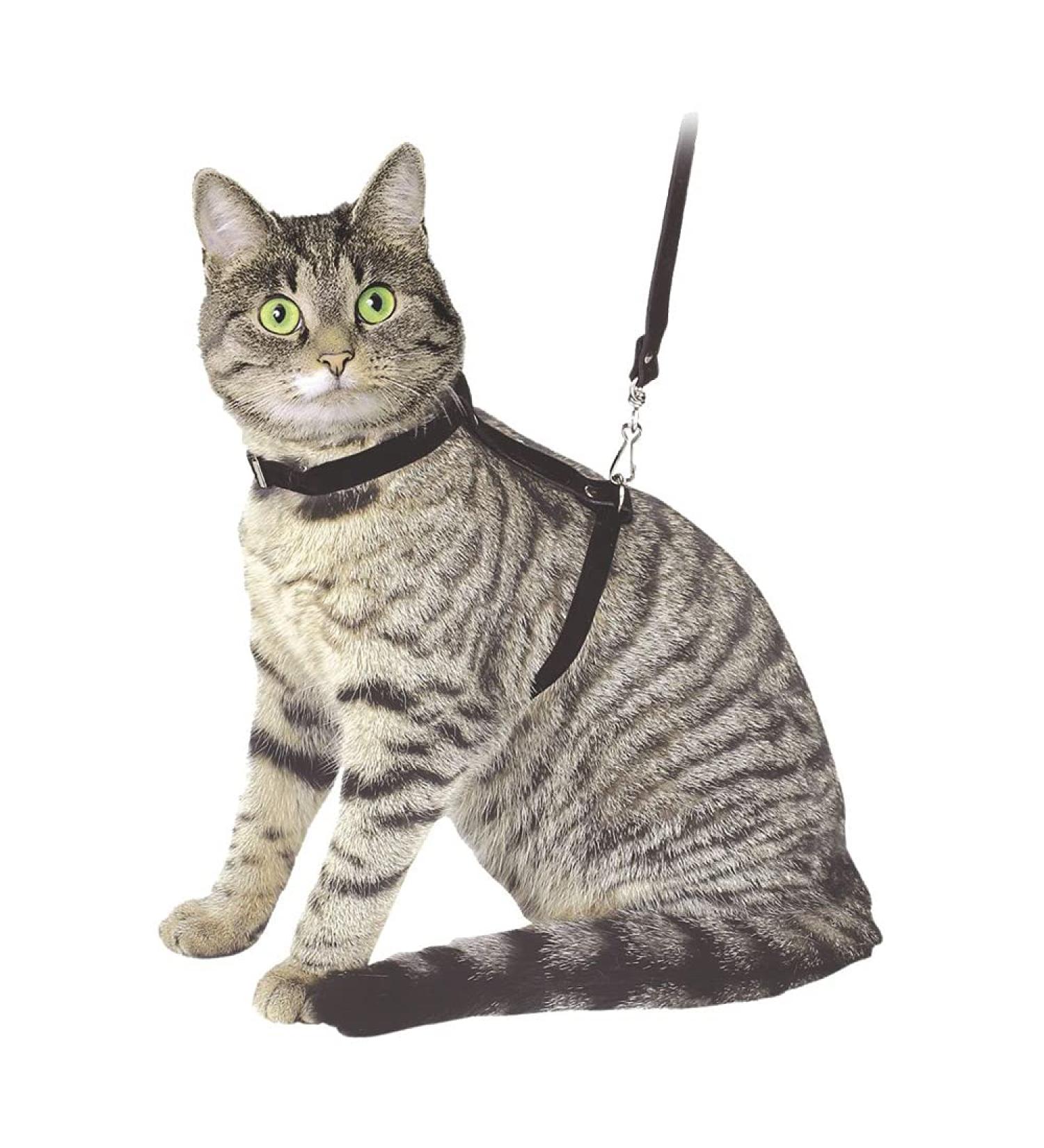 Kerbl 83819 cat harness with leash 120 cm black made of suede