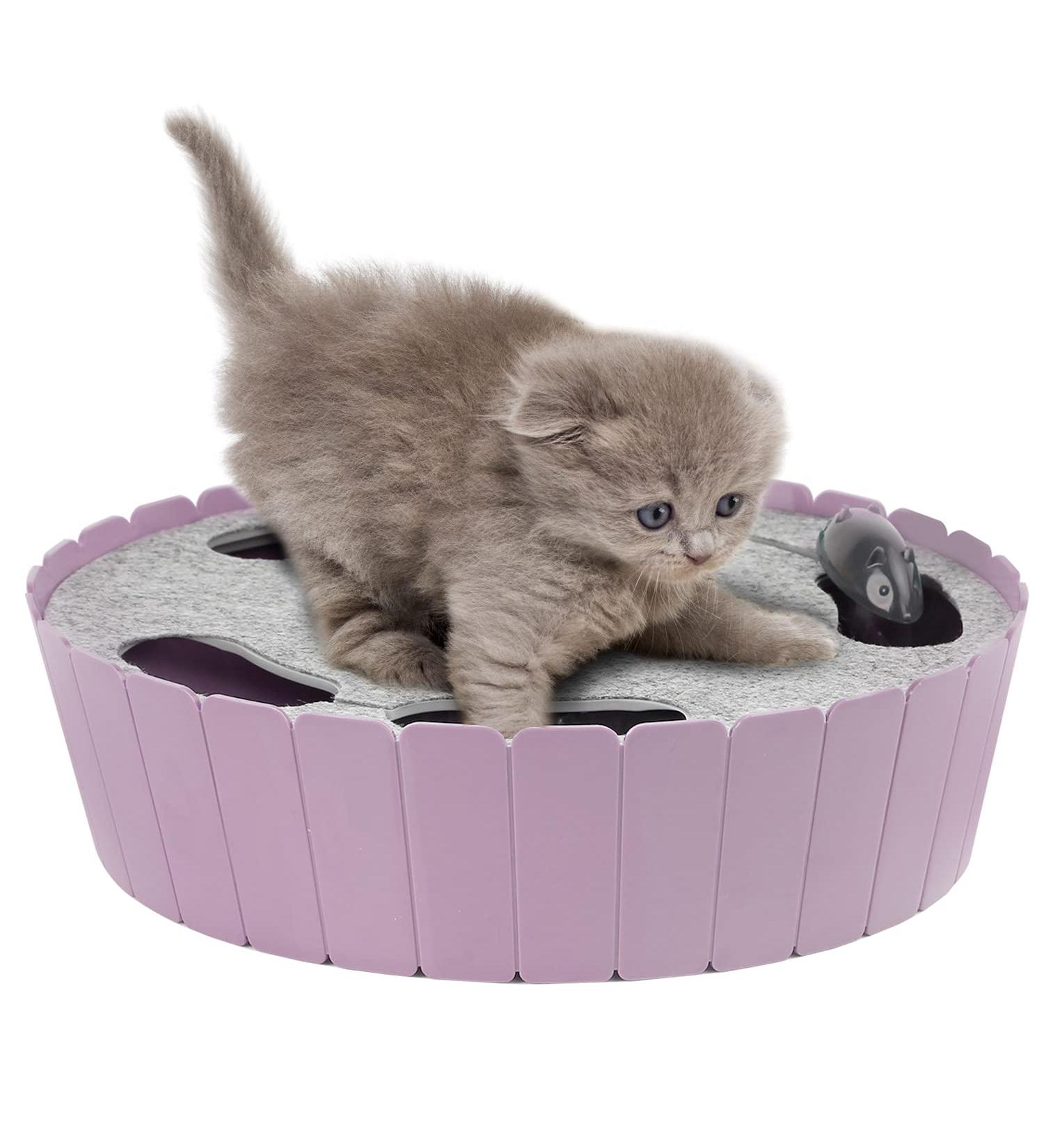 Buy Pawaboo Electric Mouse Cat Toys - Interactive Kitten Play Safe Scratch Mat & Chew Balls in Violet Taro - Buy Online on GoSupps.com