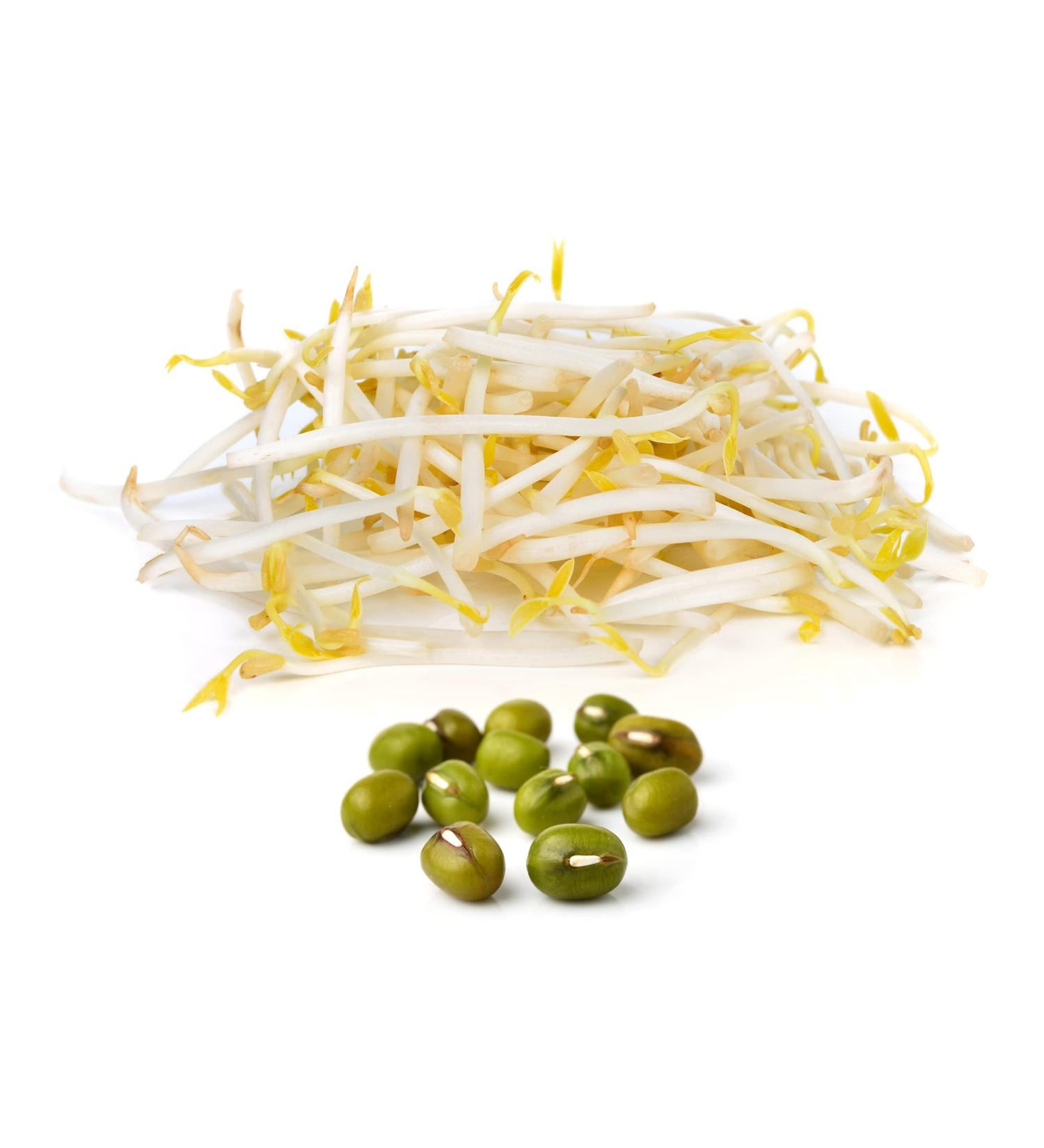 50 g mung bean seeds organic germination seeds for sprouts & microgreens vegan raw food