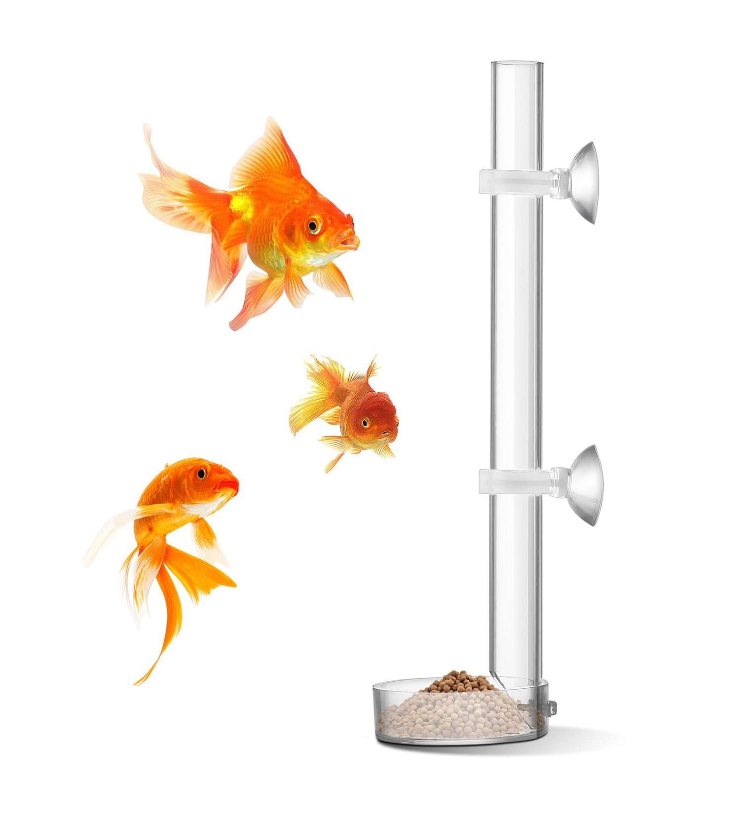 cobee Acrylic Shrimp Feeder Transparent Durable Aquarium Fish Shrimp Feeder Assembled Shrimp Feeding Tube Feeding Dish Tray Feeding Tube Set for Shrimp Food - 25cm Tube and 6.5cm Feeding Bowl - Buy Online on GoSupps.com