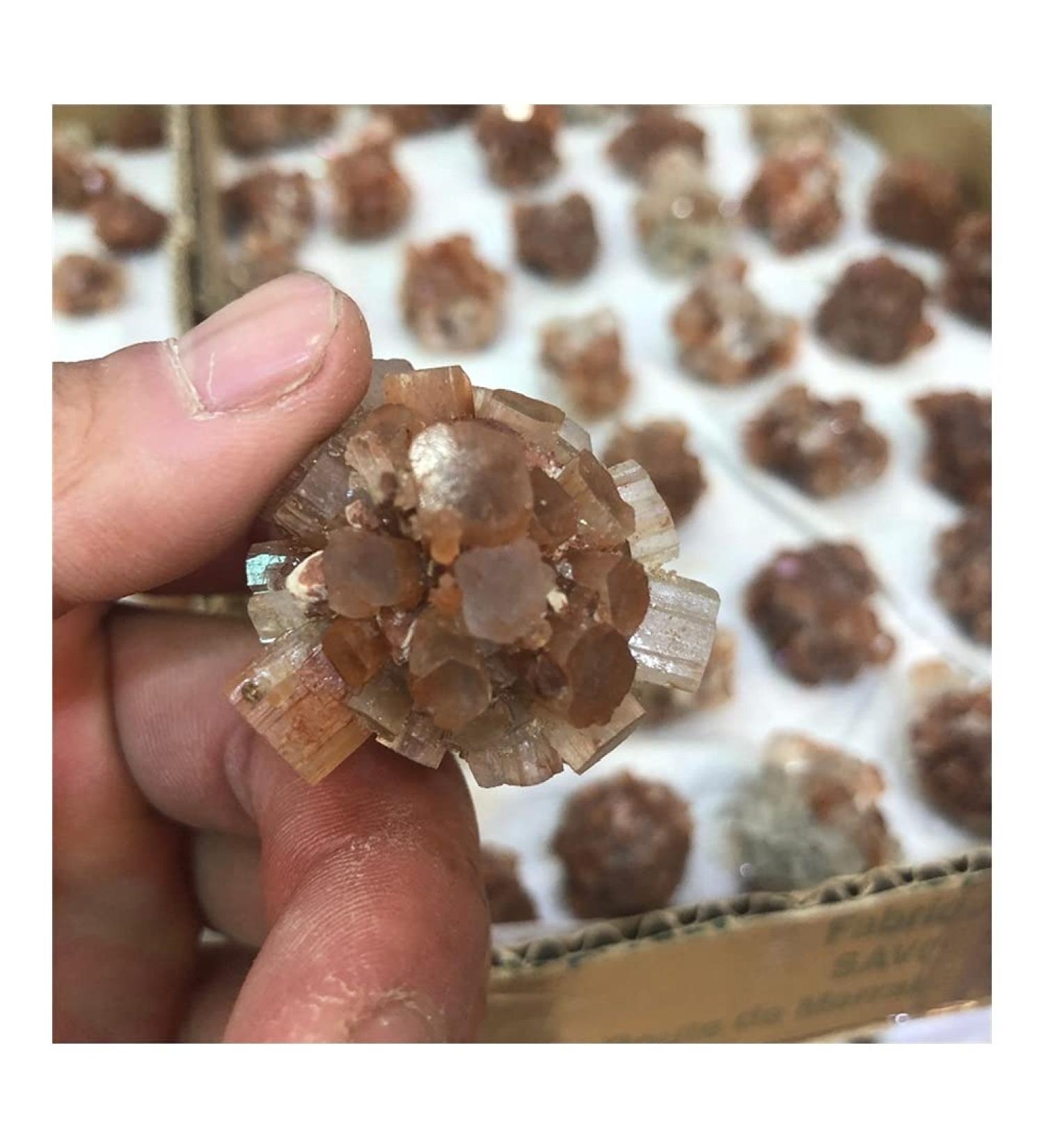 Natural Stone Minerals Aragonite Raw Quartz Point Selenite Rough Crystal Cluster Calcspar Minerals Specimen Gift Home Collections - Buy Online on GoSupps.com