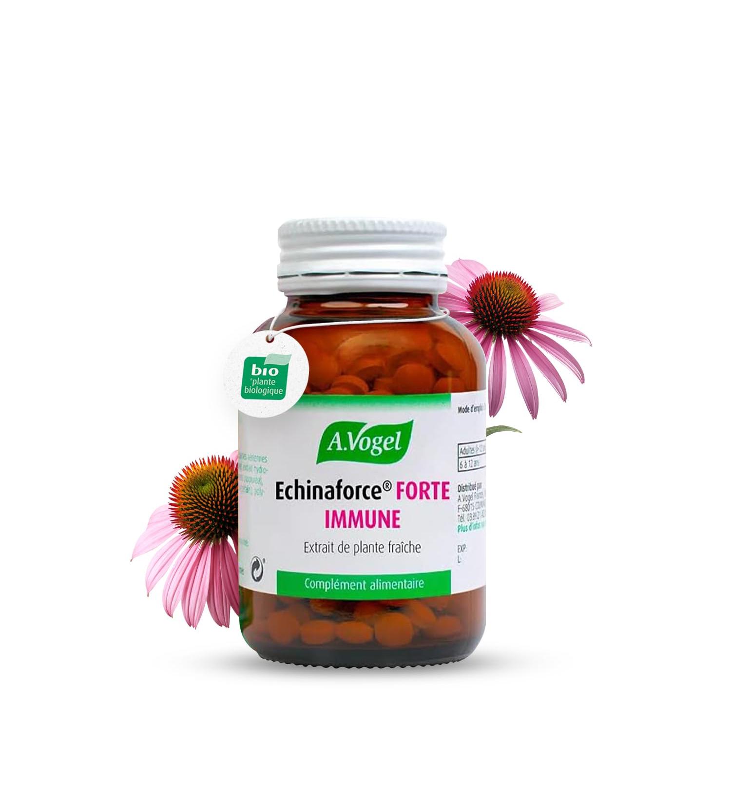 A.VOGEL - Echinaforce forte immune Dietary supplement Improves the body's resistance - For the winter - Fresh plant extract of echinacea Organic plant active ingredients - 120 tablets - Buy Online on GoSupps.com