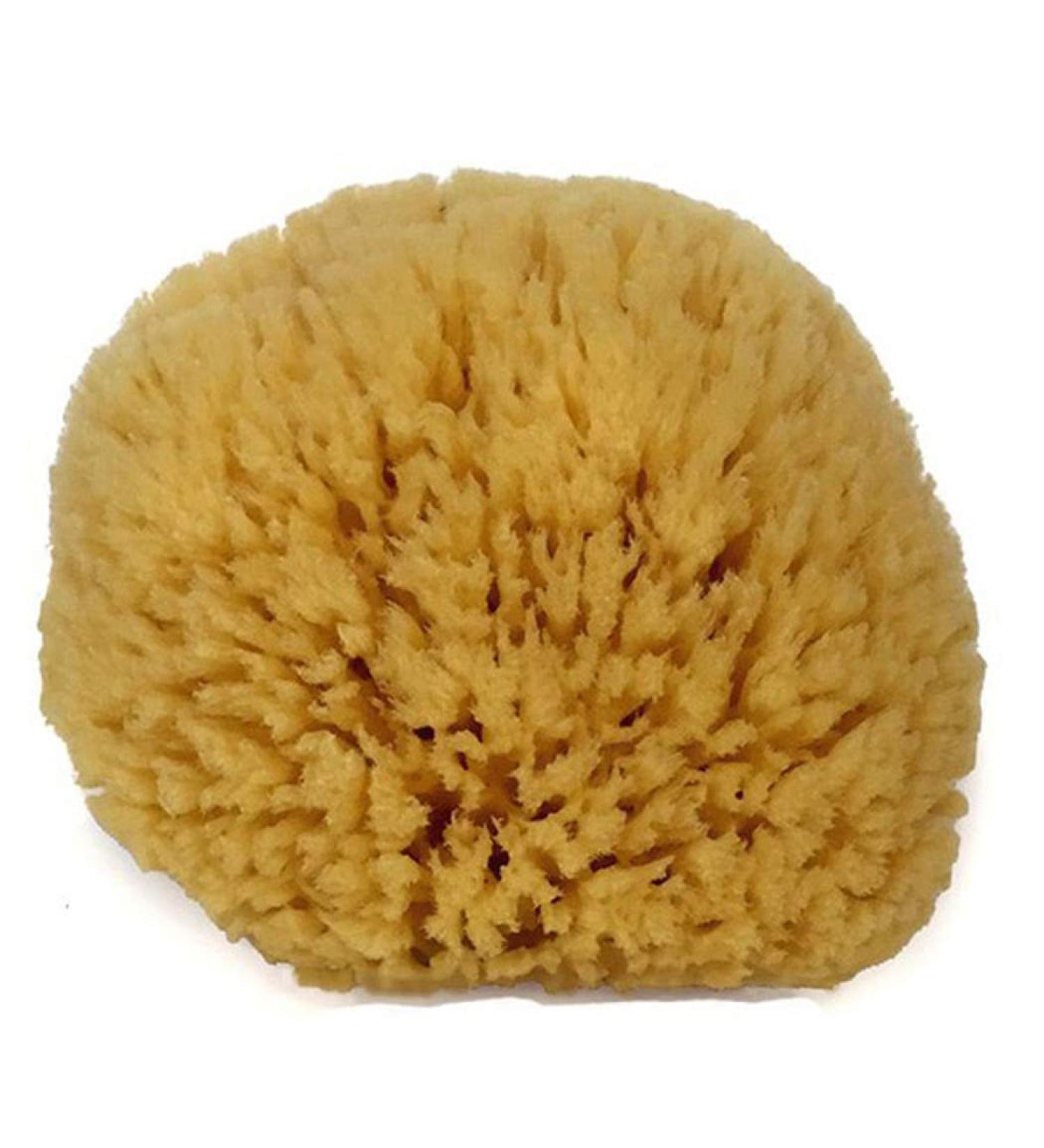Spa Destinations Natural Sea Sponge 6-7: Elevate Your At-Home Spa Experience - Buy Online on GoSupps.com