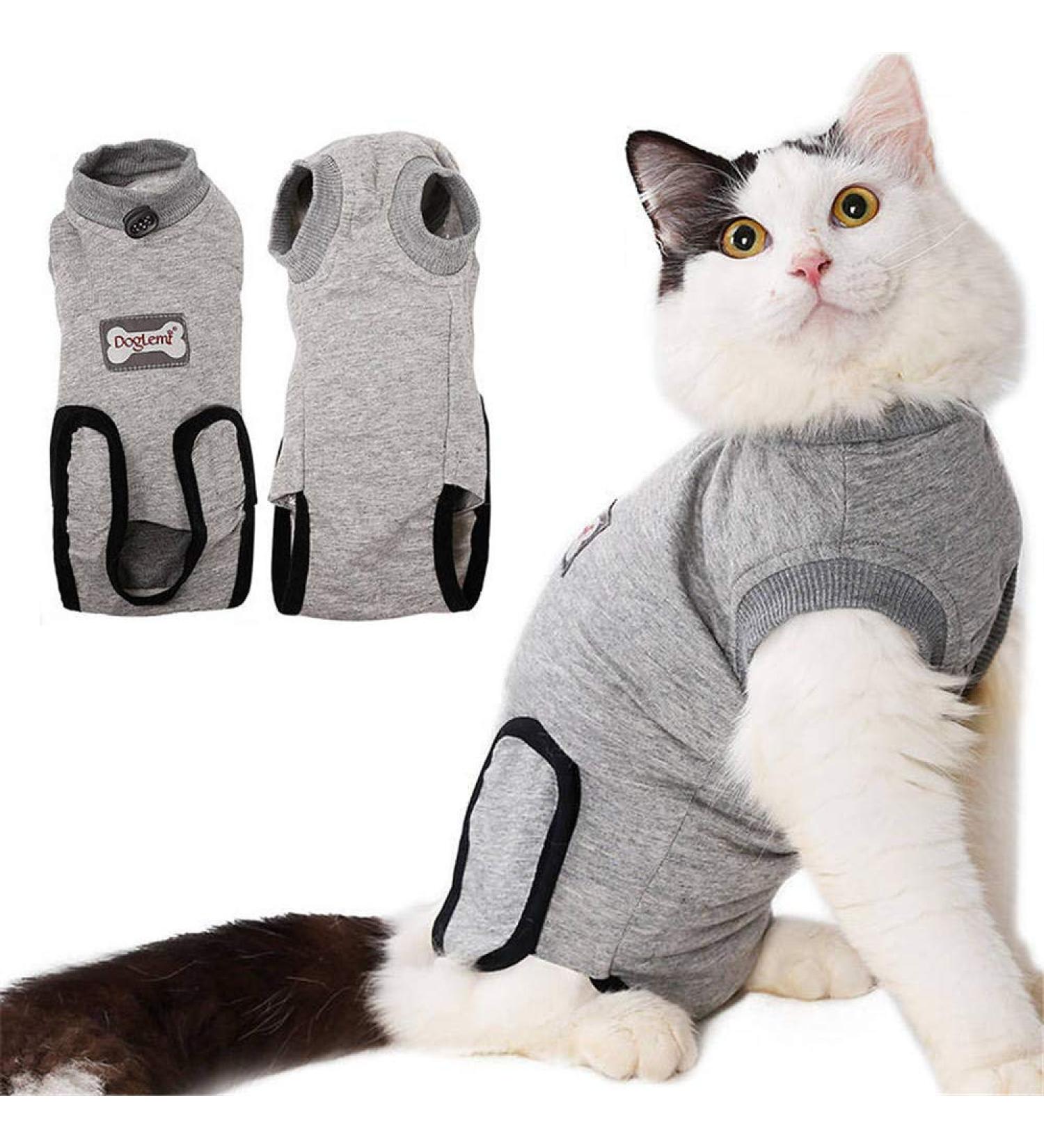 DogLemi Cat Recovery Suit | Professional After Surgery Wear for Abdominal Wounds, Skin Diseases | Soft Comfort | Cone Alternative for Small Medium Cats and Kittens - Buy Online on GoSupps.com
