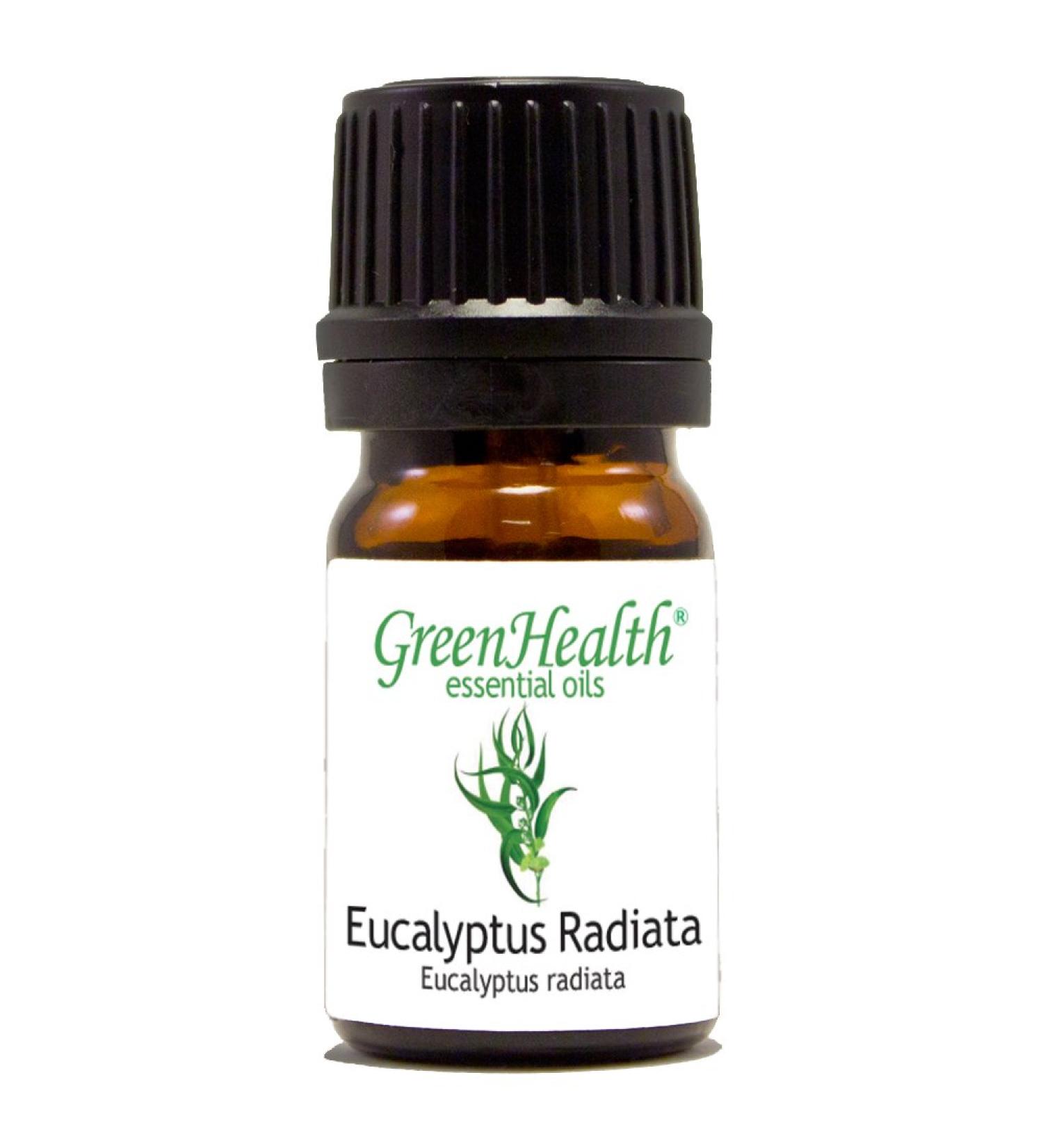 5 ml Eucalyptus Radiata Essential Oil (100% Pure & Uncut) - GreenHealth