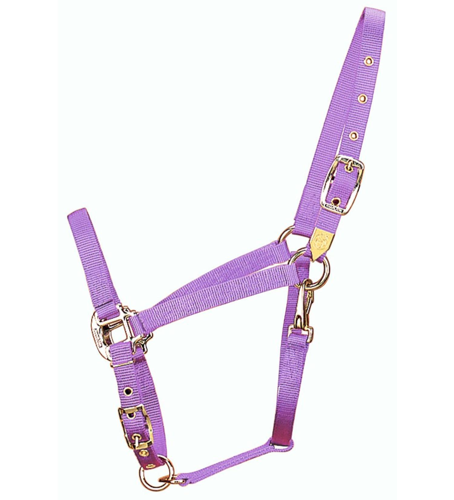 Hamilton 3/4-inch Nylon Arabian Horse holder with Adjustable Chin and Throat Snap Average 800 to 1100 Pounds Lavender Average 800 To 1100 Pounds Lavender