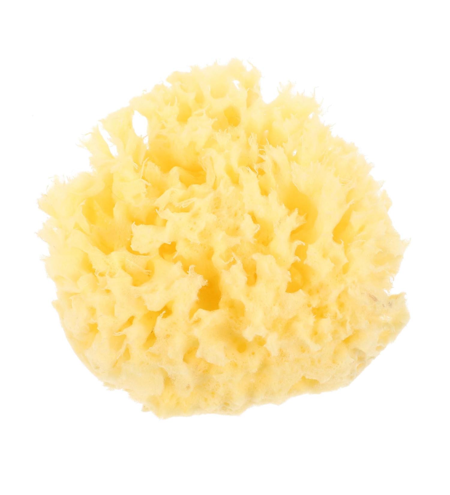 minkissy Moisturizer Shower Sponge Body Sponge Shower Wash Sponge for Showering Bath for Bathing Sponge Bath Sea for Bathing for Body - Buy Online on GoSupps.com