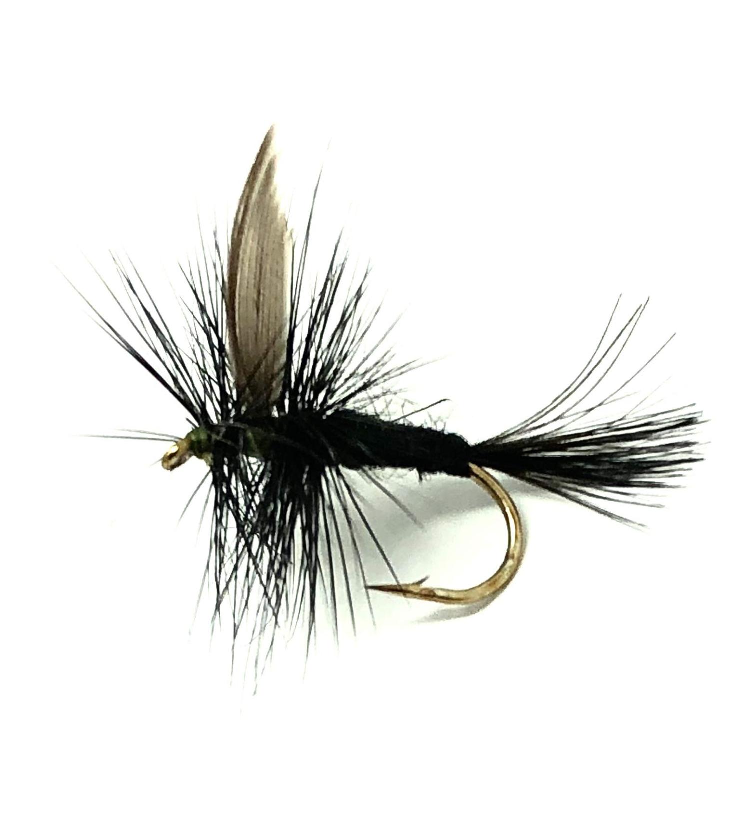 Feeder Creek Black Gnat Dry Flies - 12 Nymph Flies for Trout, Bass, Salmon - Freshwater Fishing Variety Pack - Buy Online on GoSupps.com