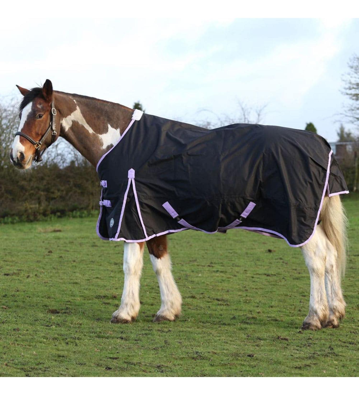 AUTUMNN EQUESTRIAN 50G FILL HORSE TURNOUT RUG LIGHTWEIGHT STANDARD NECK HORSE RUG WATERPROOF 600D HORSE RUG (5'9'') - Buy Online on GoSupps.com