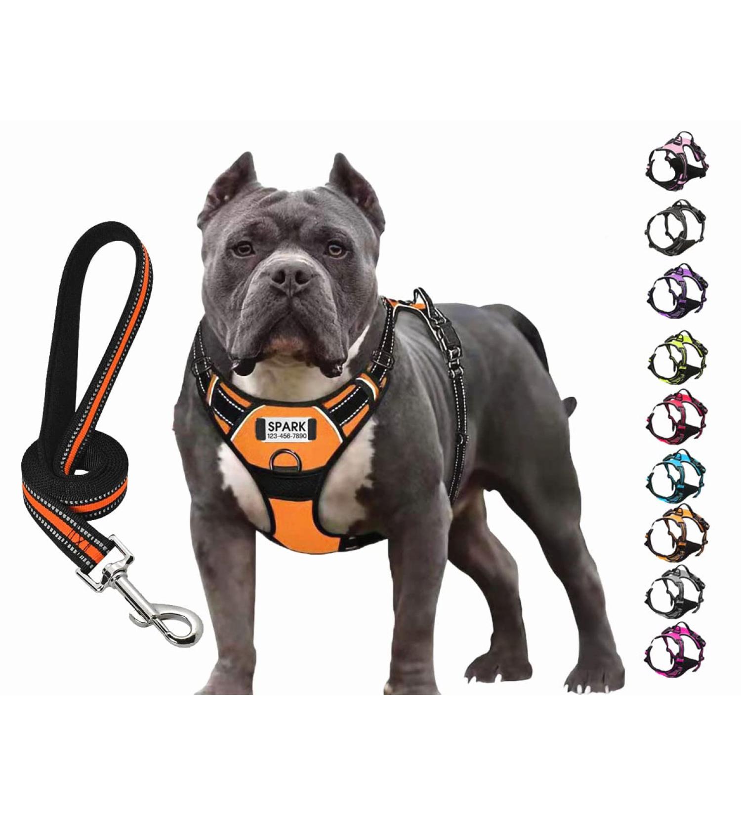 SLZZ Personalized Custom No Pull Dog Harness Leash Set with Name Phone Number-Heavy Duty Reflective Soft Padded Vest with Easy Control Handle for Small Medium Large Dog-2 Leash Attachments - Buy Online on GoSupps.com