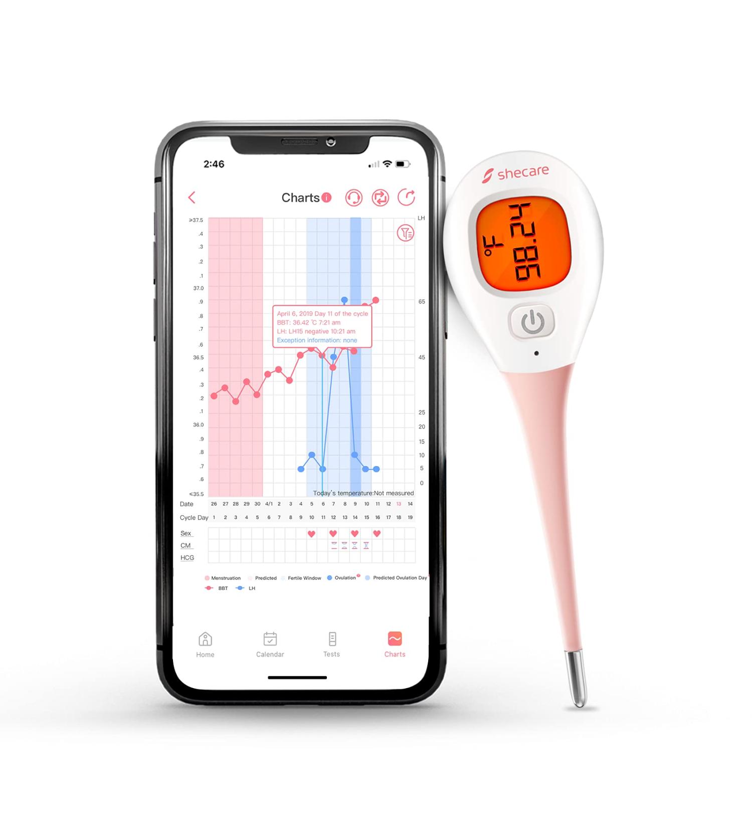 Shecare Digital Basal Body Thermometer for Ovulation - High Precision & Backlit LCD Display - Works with Shecare APP - Buy Online on GoSupps.com