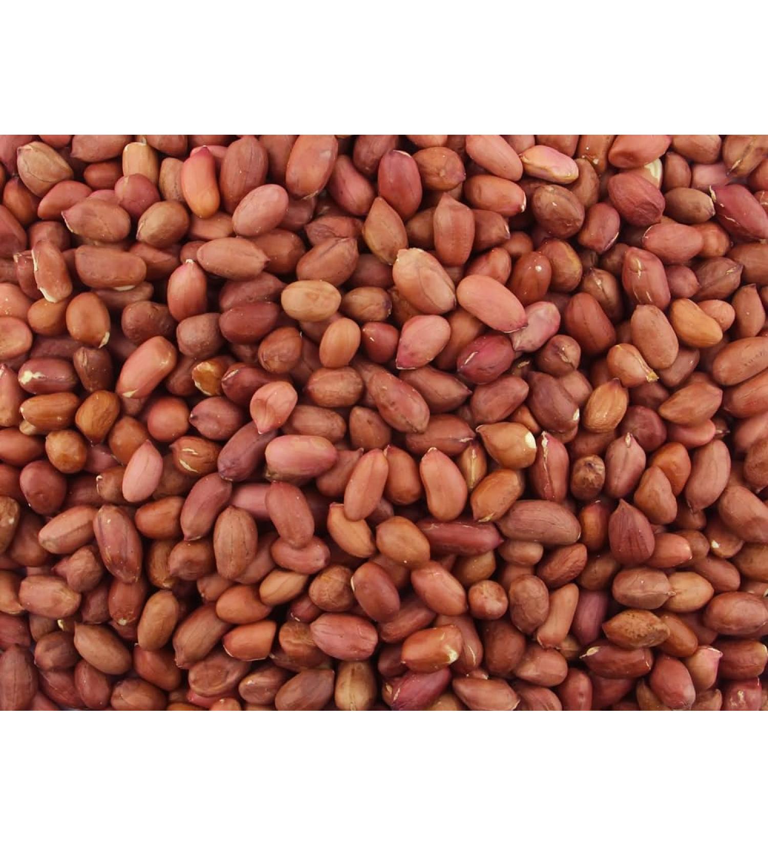 Gorilla Food Co. Redskin Peanuts Whole - 5kg (Bulk Pack)