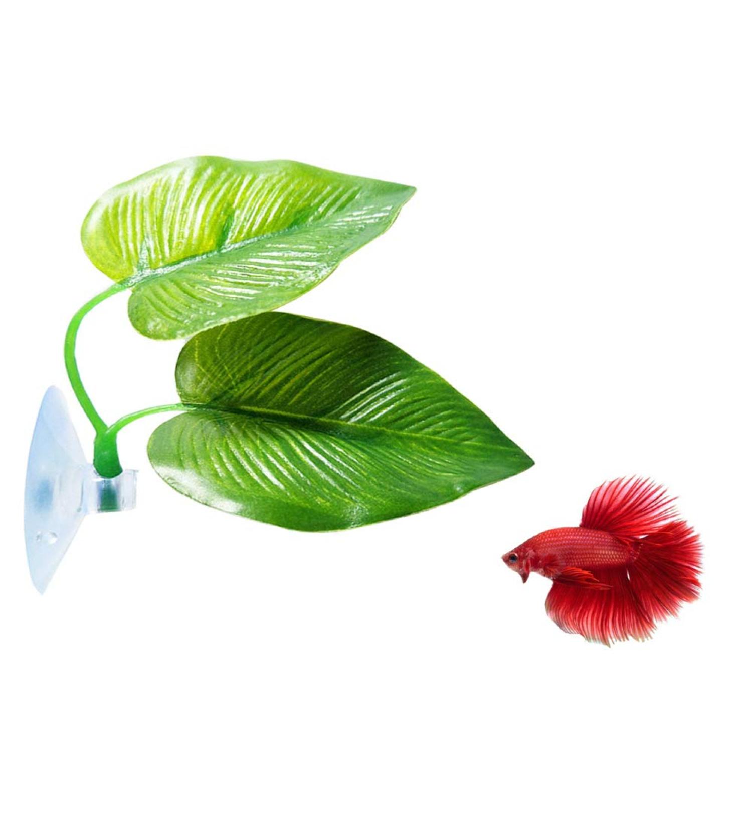 Cousduobe Betta Fish Leaf Pad - Enhances Health with Double Leaf Design for Natural Habitat Simulation - Buy Online on GoSupps.com