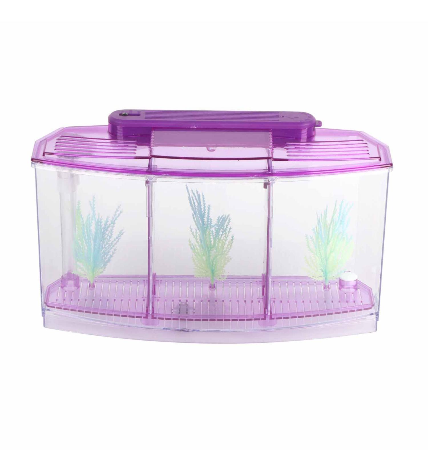 Aquarium Fish Tank Transparent Aquarium Fish Tank LED Acrylic Three Divisions Breeding Isolation Box for Small Fishes Mini Breeding Fish Tank (Purple) - Buy Online on GoSupps.com