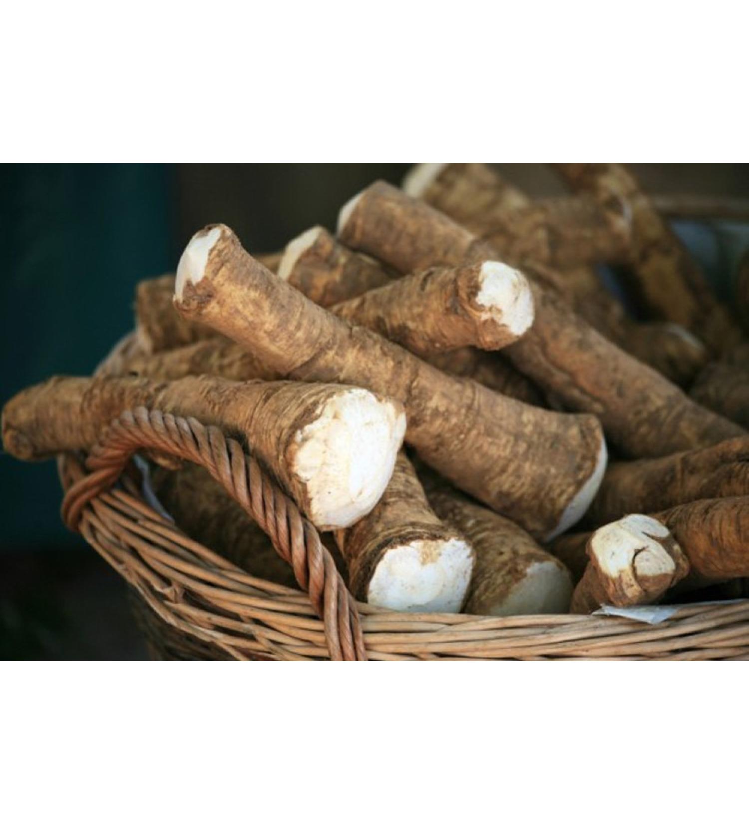 Organic Horseradish Root 8 oz | Fresh and Flavorful for Planting, Seasoning, and Sauces - Buy Online on GoSupps.com