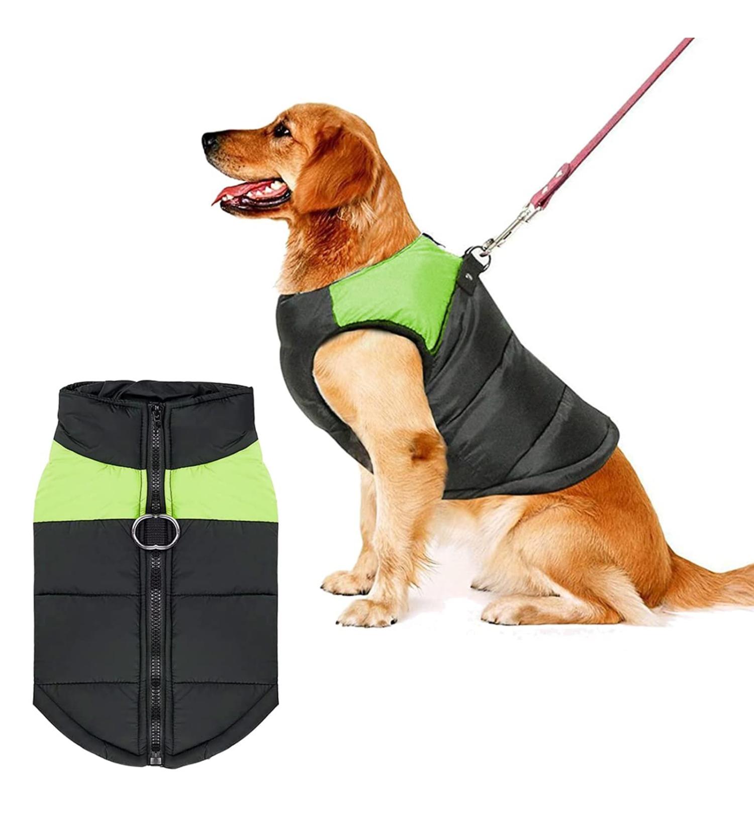 Shinmax Waterproof Winter Dog Coat - Warm Jacket for Small Medium & Large Dogs - Padded Vest with Breast Protection - XL Green - Buy Online on GoSupps.com