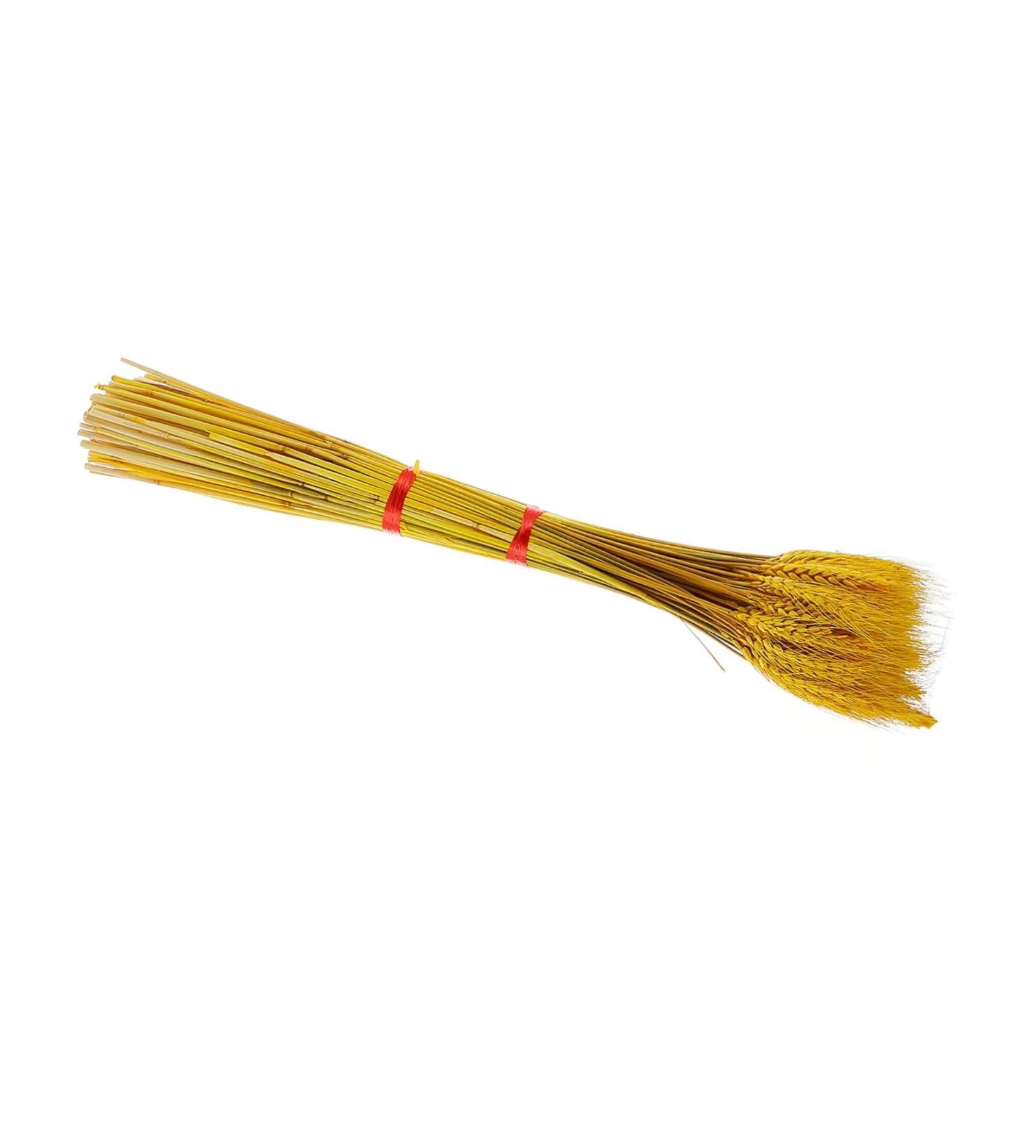 Amosfun 100pcs Dried Wheat Ears Bouquet Decor Wedding Wheat Ear Flowers Wheat Ear Dried Flowers Bouquet Natural Wheat Ear Dry Flowers Wheat Stalk Props Dried Flowers. Desktop - Buy Online on GoSupps.com